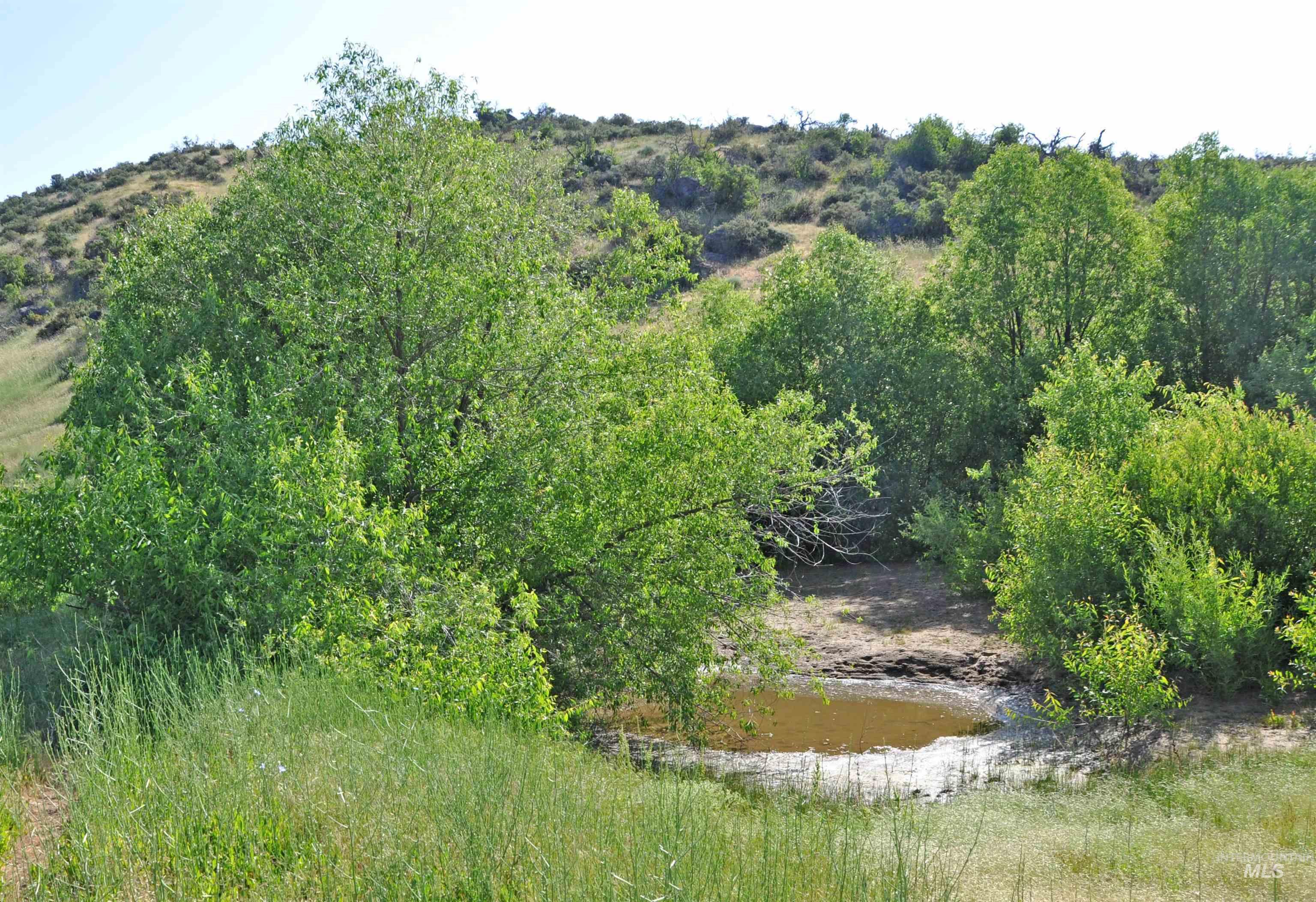 Tbd Parcel A Holbrook Lane Property Photo 14
