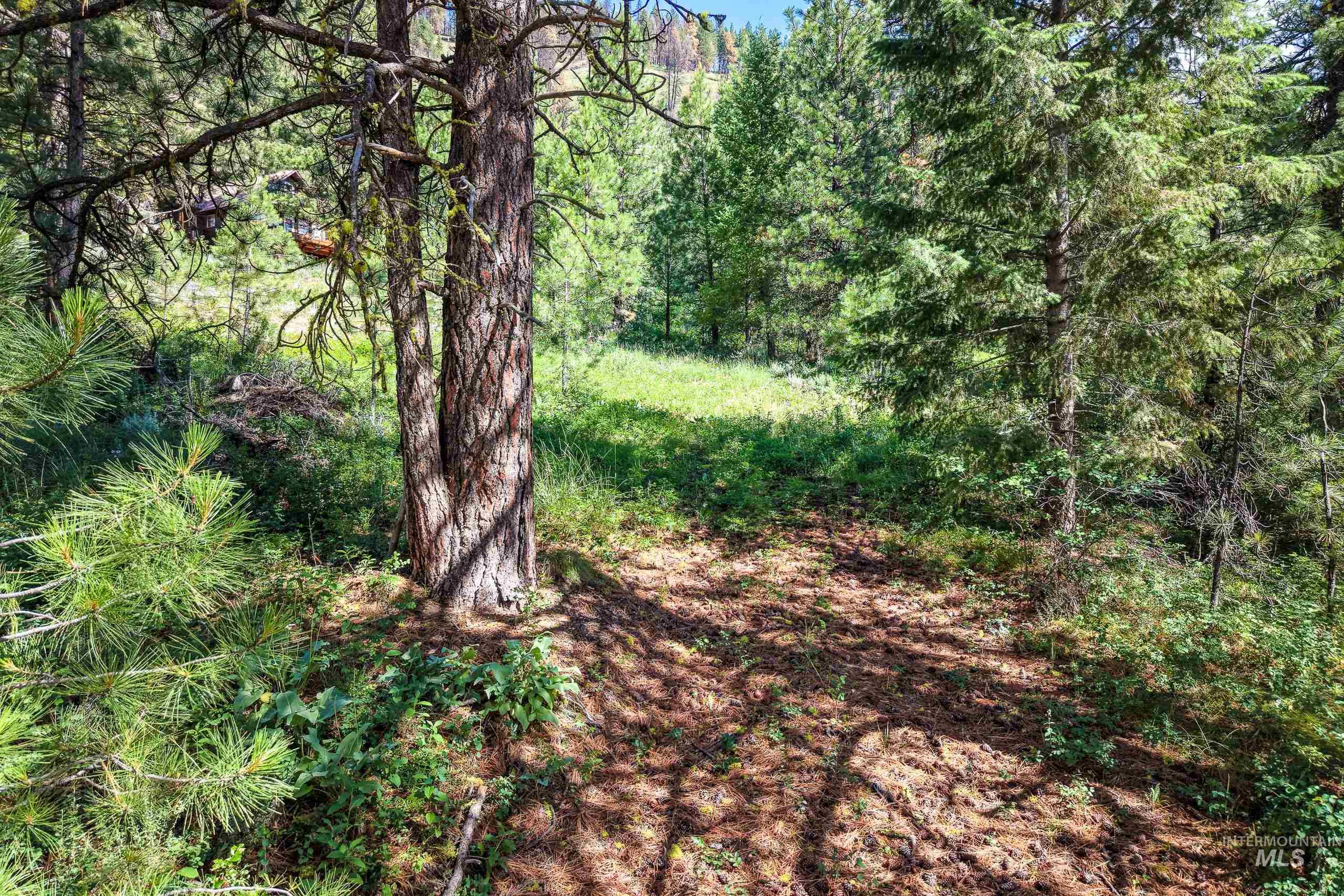 Lot 13 Valley Road Property Photo 4