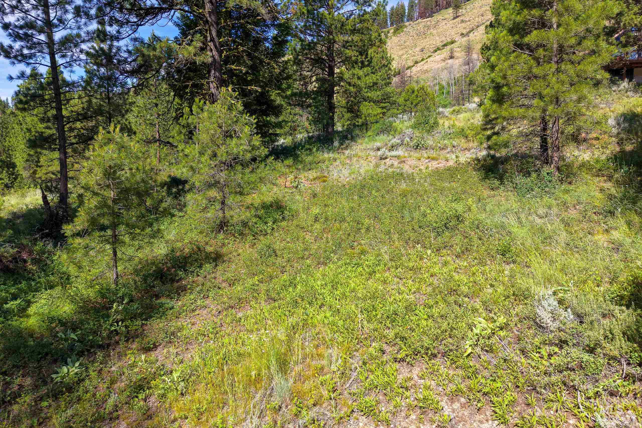Lot 13 Valley Road Property Photo 6