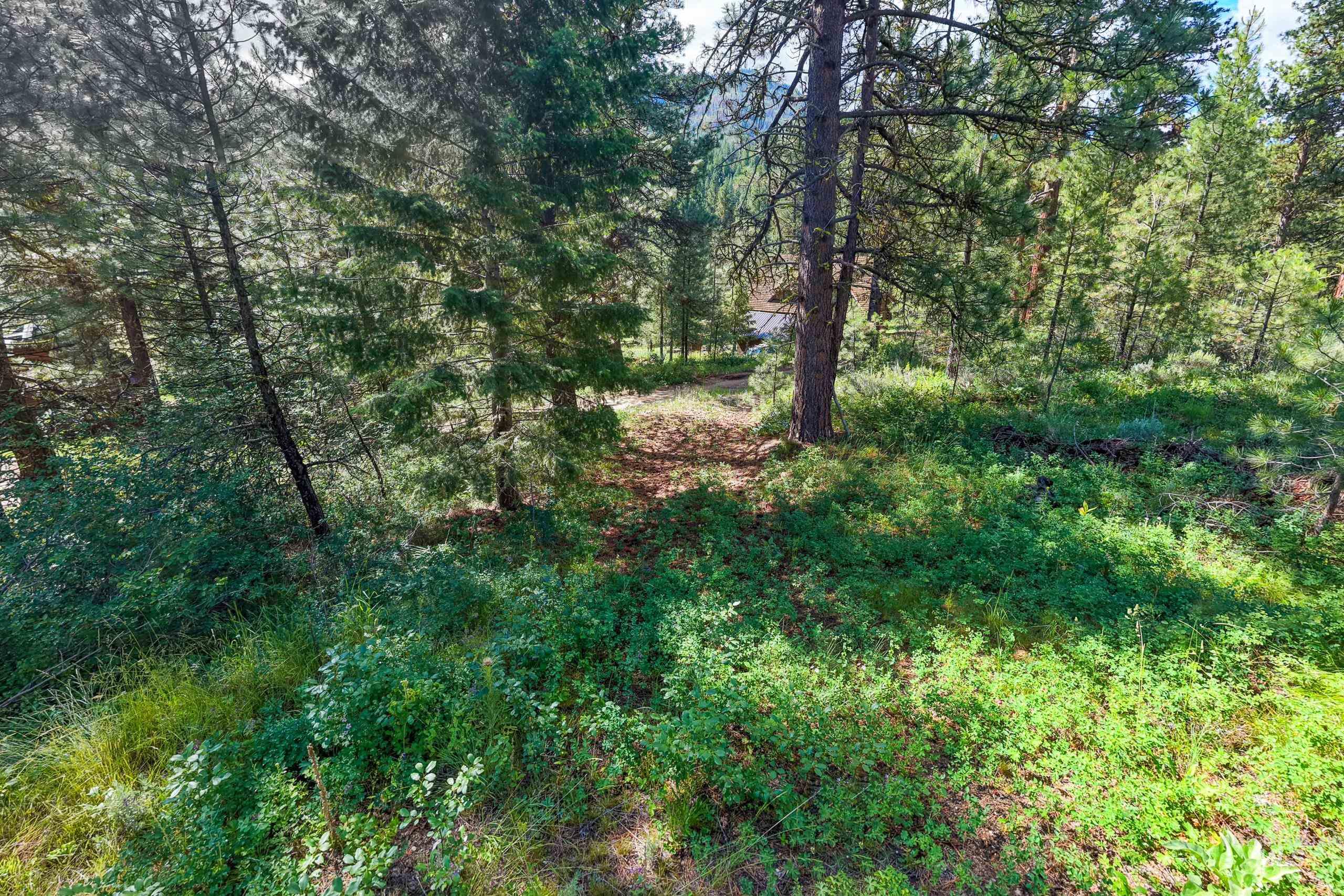 Lot 13 Valley Road Property Photo 10