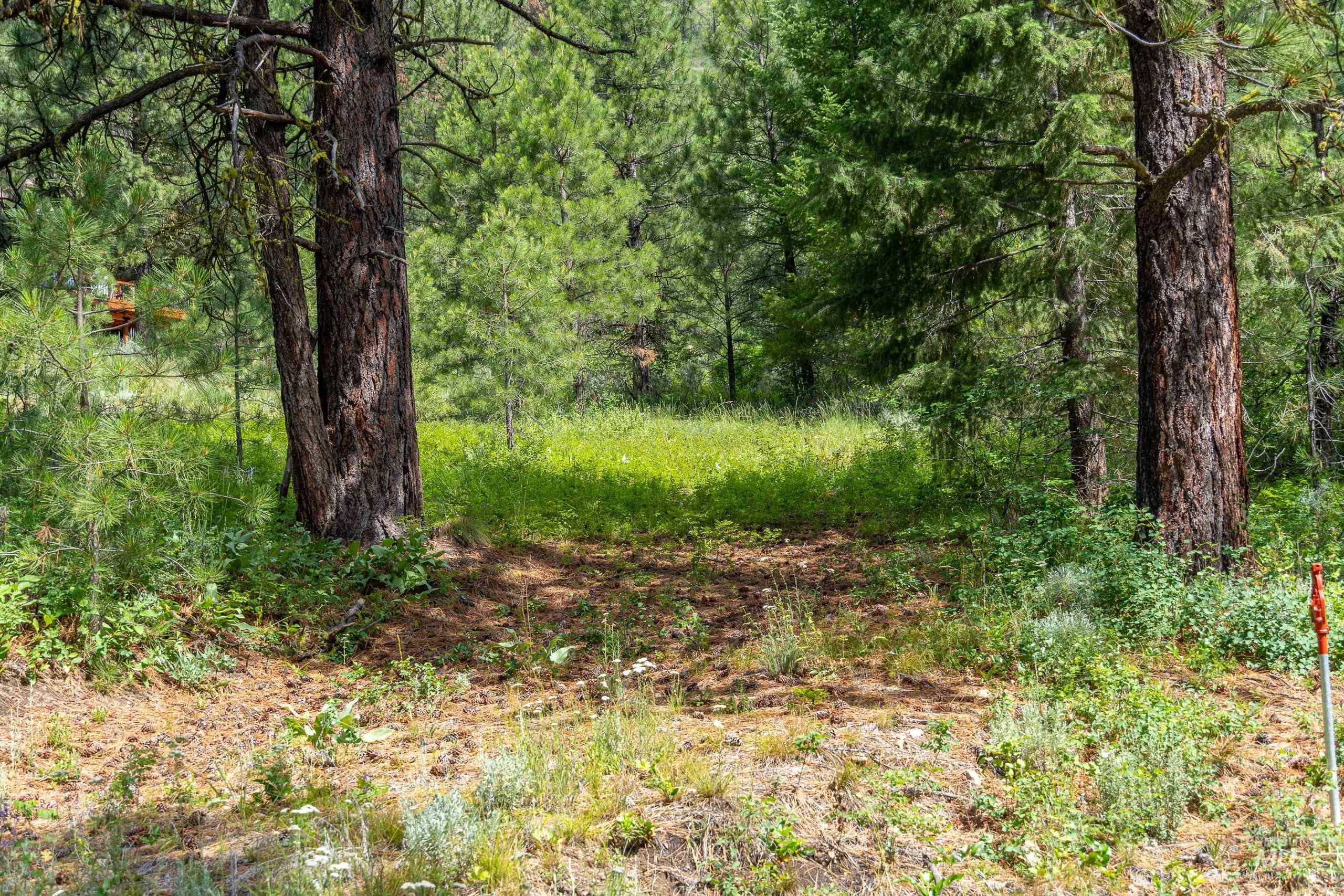 Lot 13 Valley Road Property Photo 14