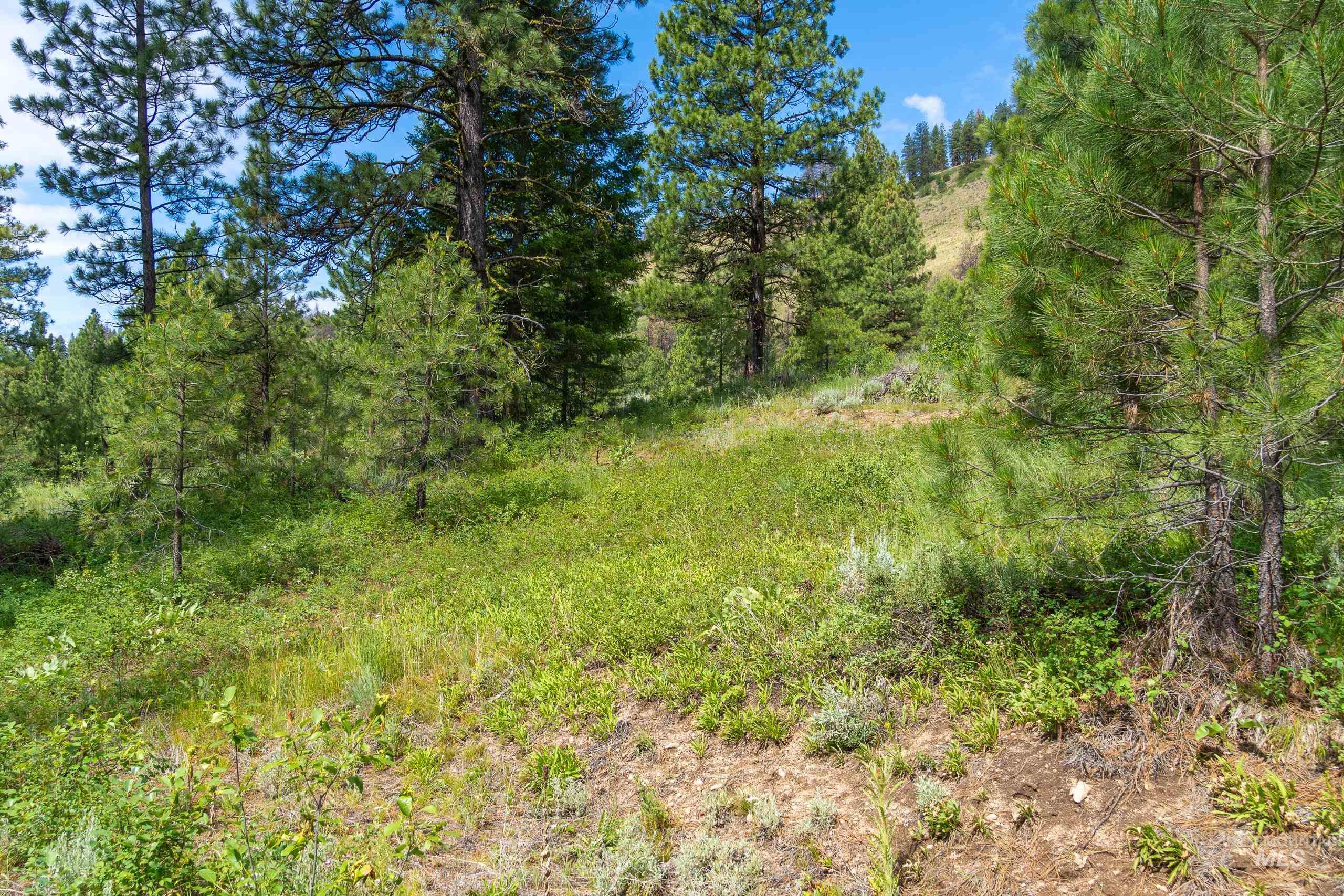 Lot 13 Valley Road Property Photo 15