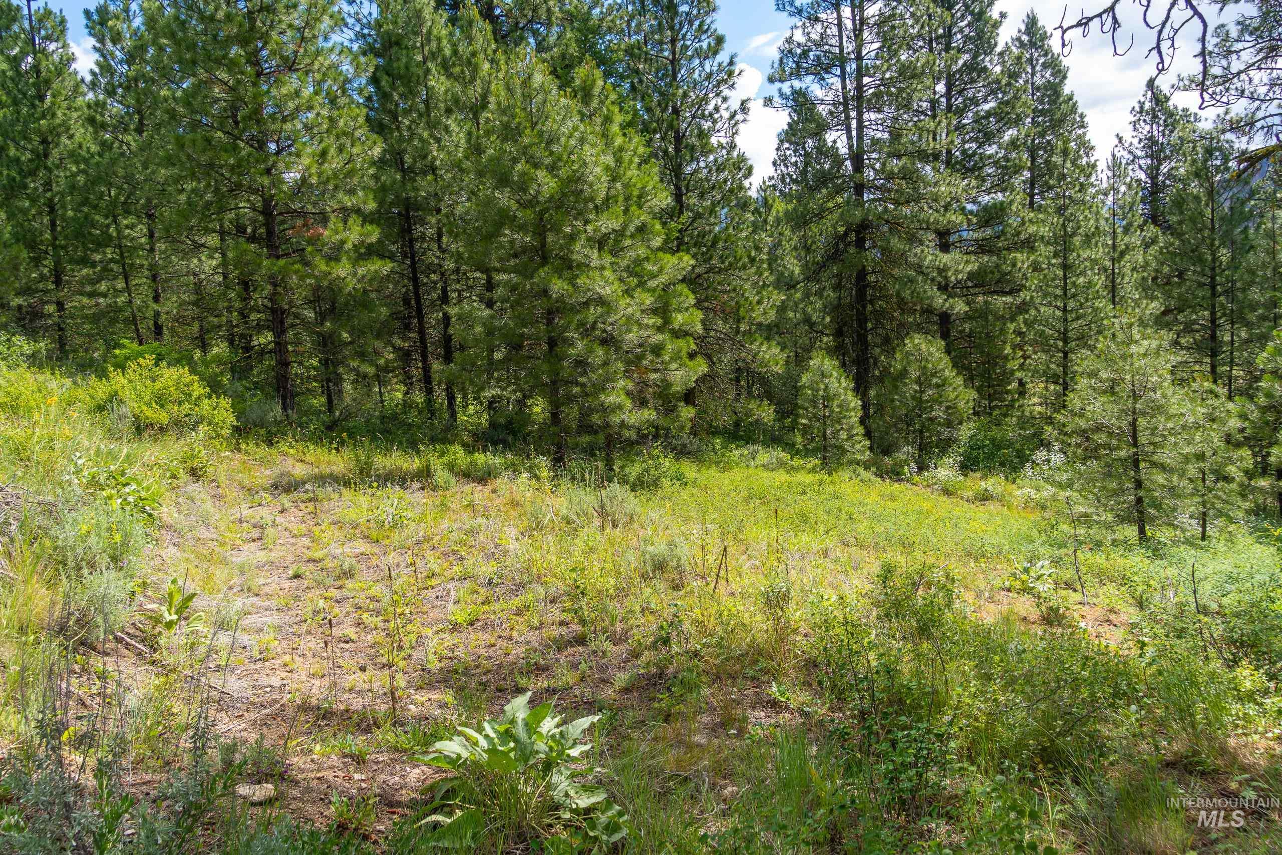 Lot 13 Valley Road Property Photo 16