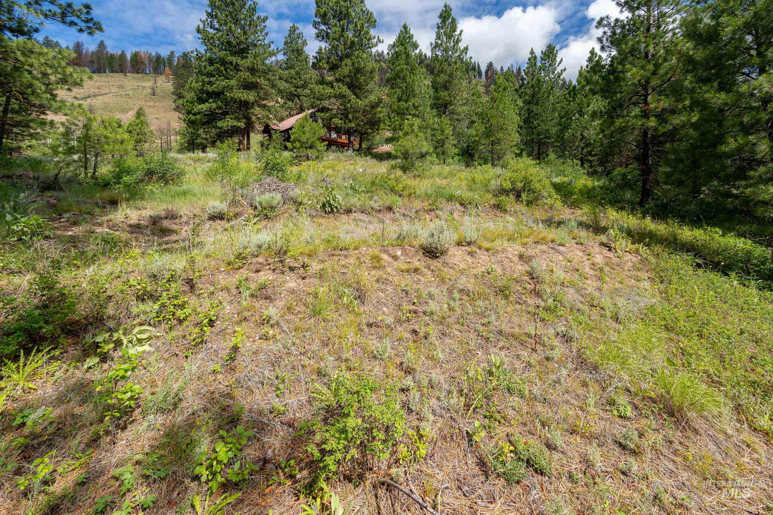 Lot 13 Valley Road Property Photo 18