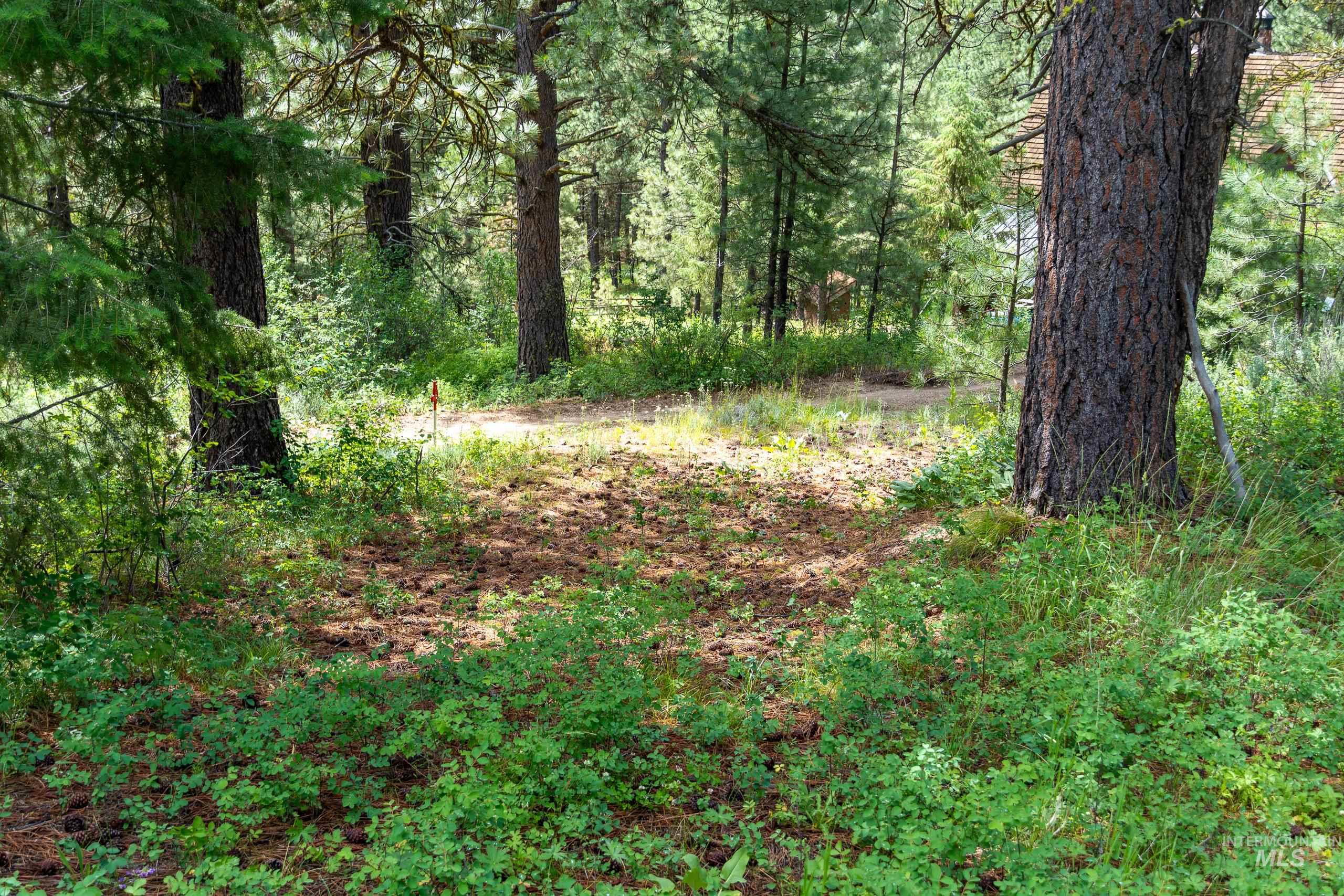 Lot 13 Valley Road Property Photo 19