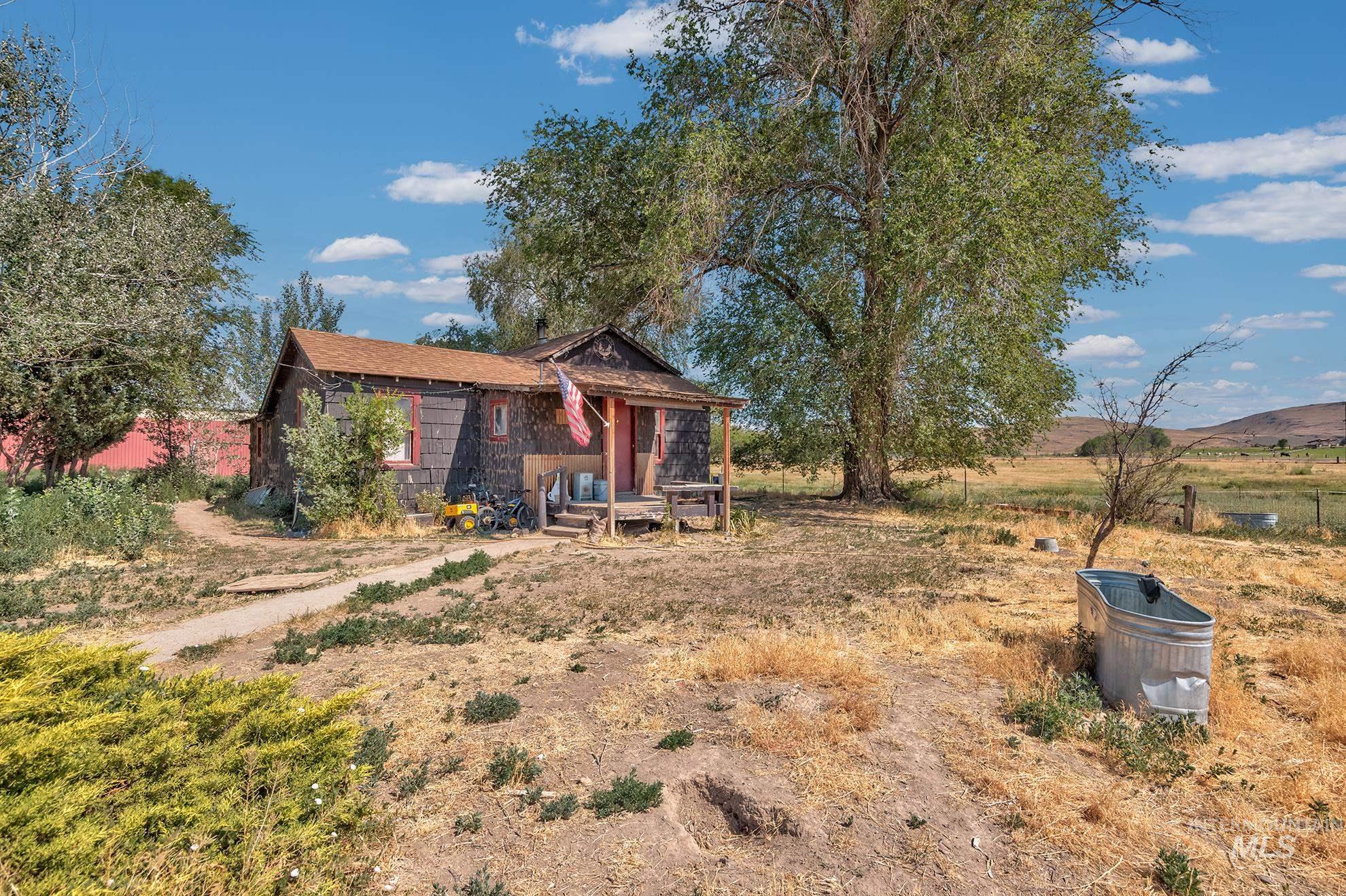 2894 Little Valley Rd Property Photo 19