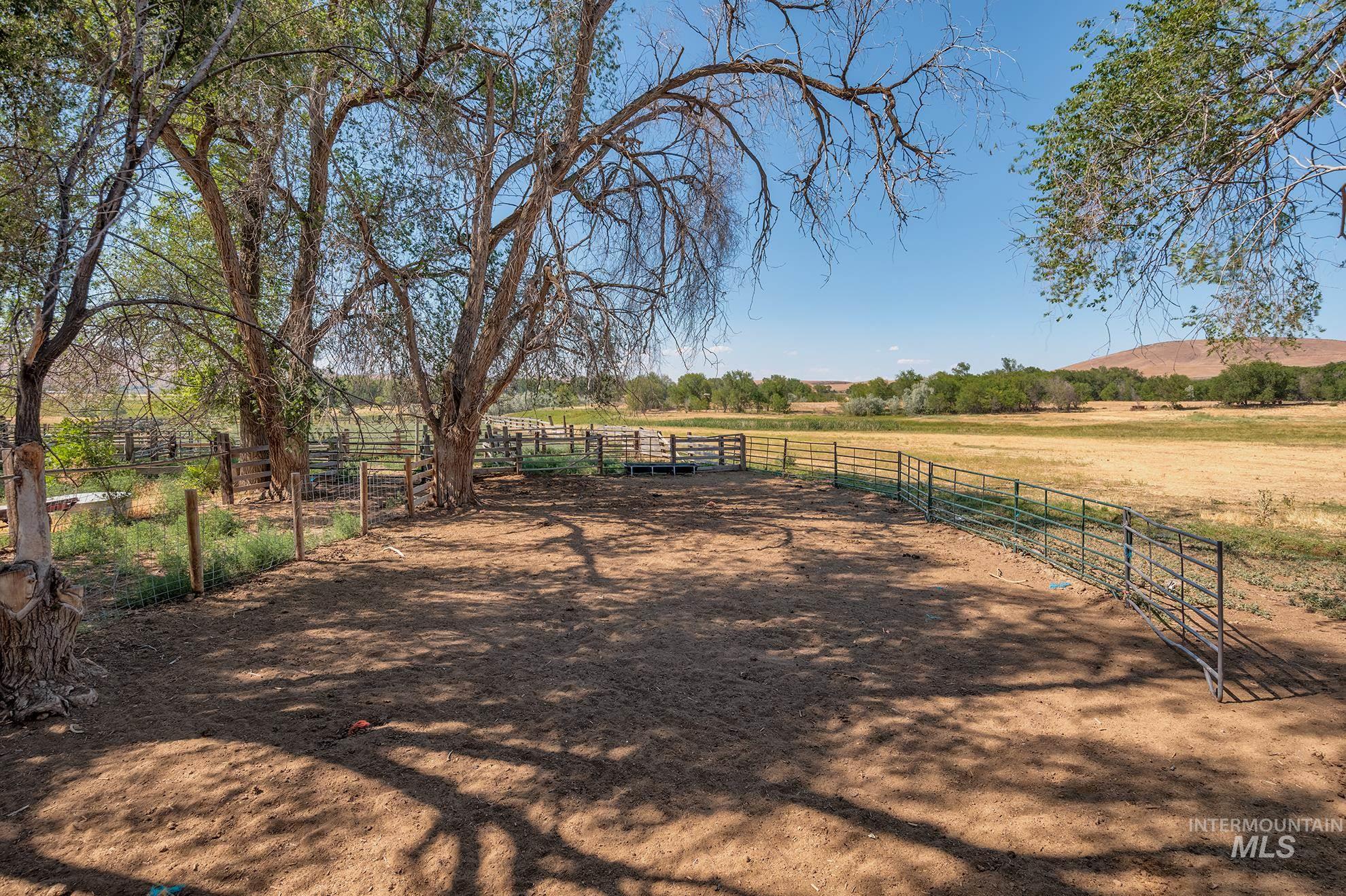 2894 Little Valley Rd Property Photo 31