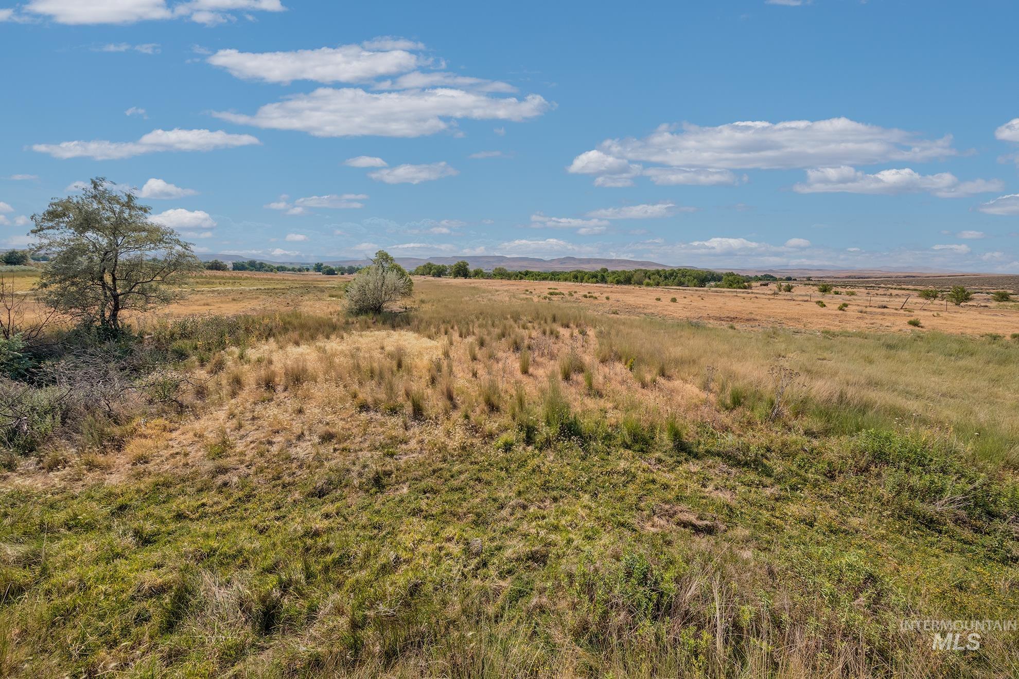 2894 Little Valley Rd Property Photo 41