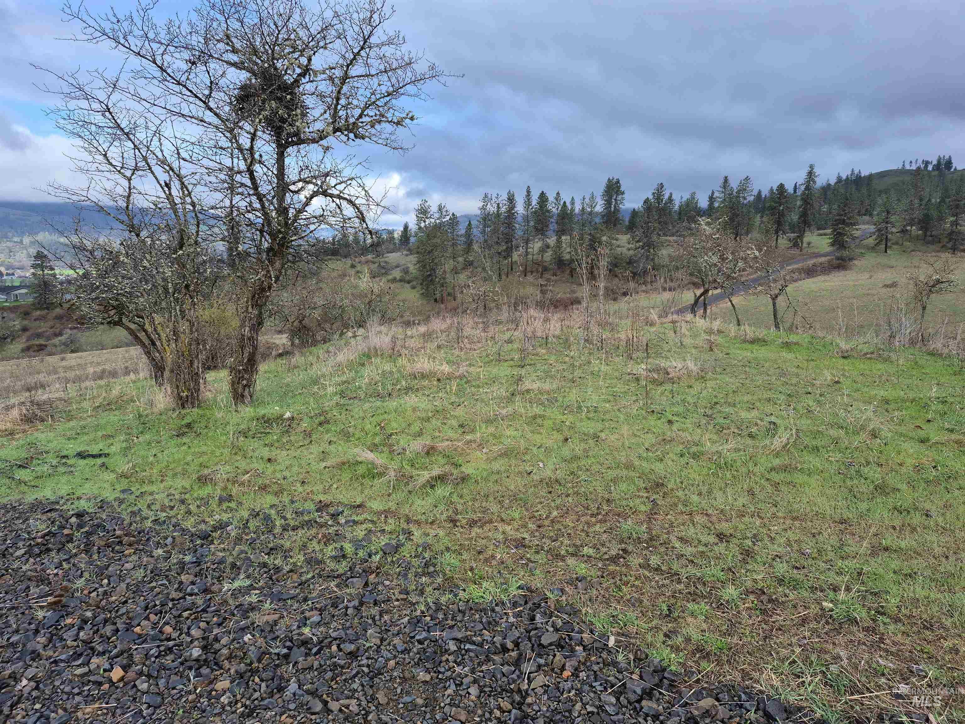 147 Elk Hill St. (terms Available) Property Photo 23