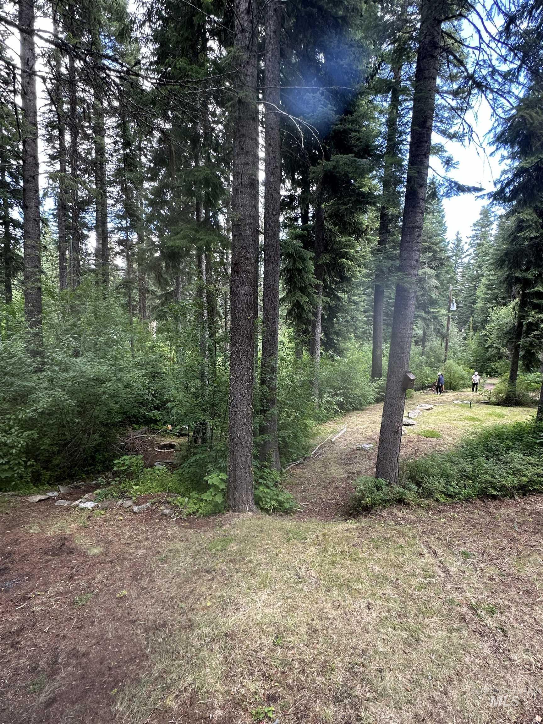 1227 Brown Bear Drive Property Photo 18