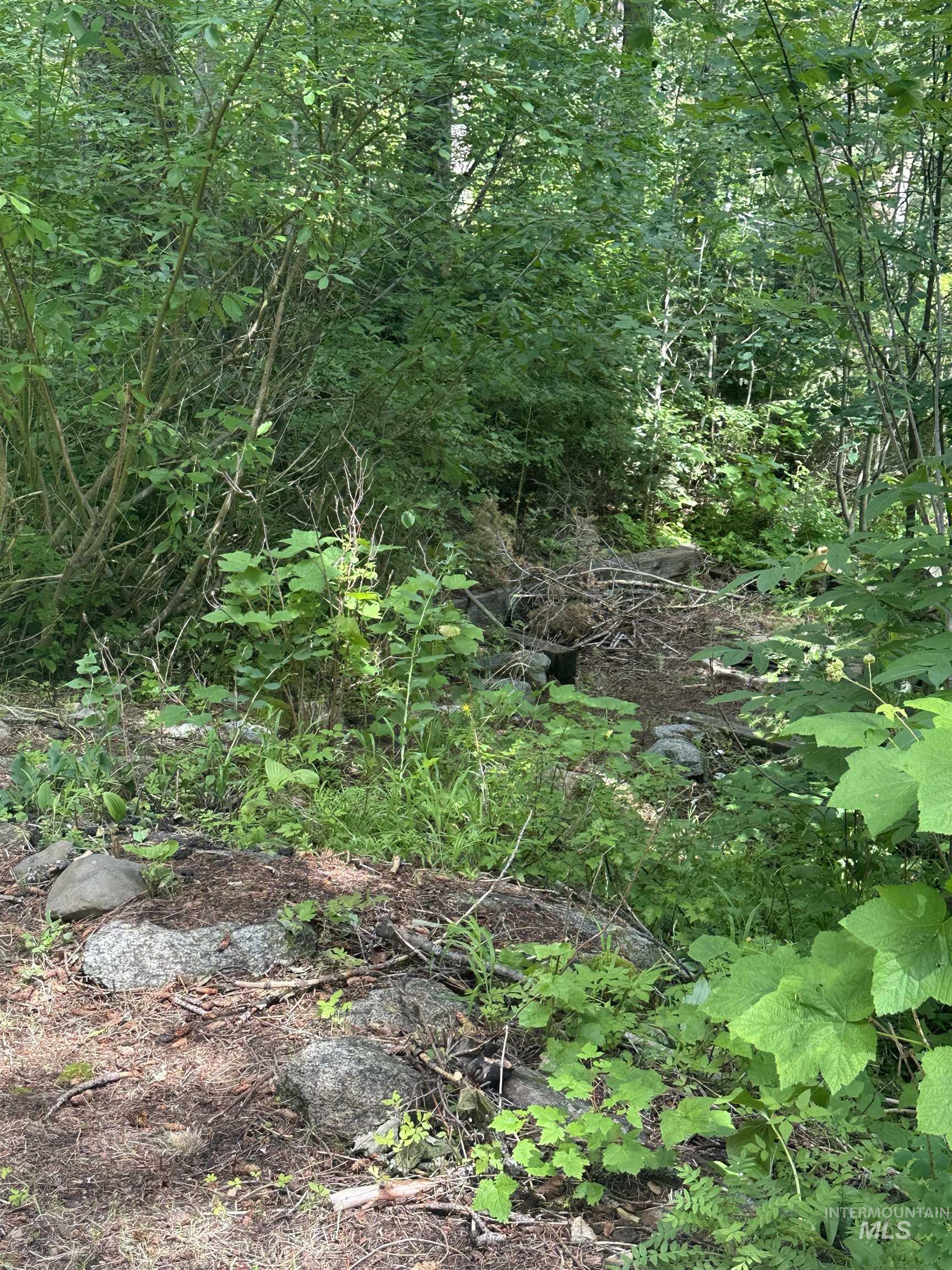 1227 Brown Bear Drive Property Photo 19