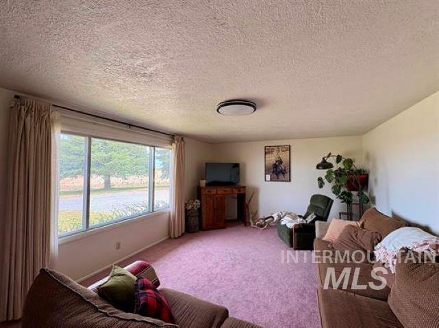 3197 Eagle Rock Road Property Photo 15