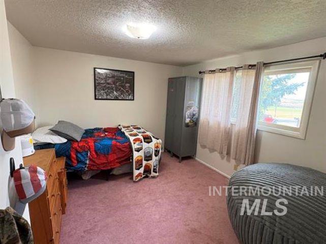 3197 Eagle Rock Road Property Photo 20