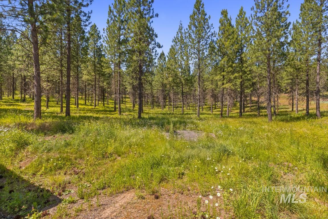 1076 Swenson Ln Property Photo 45