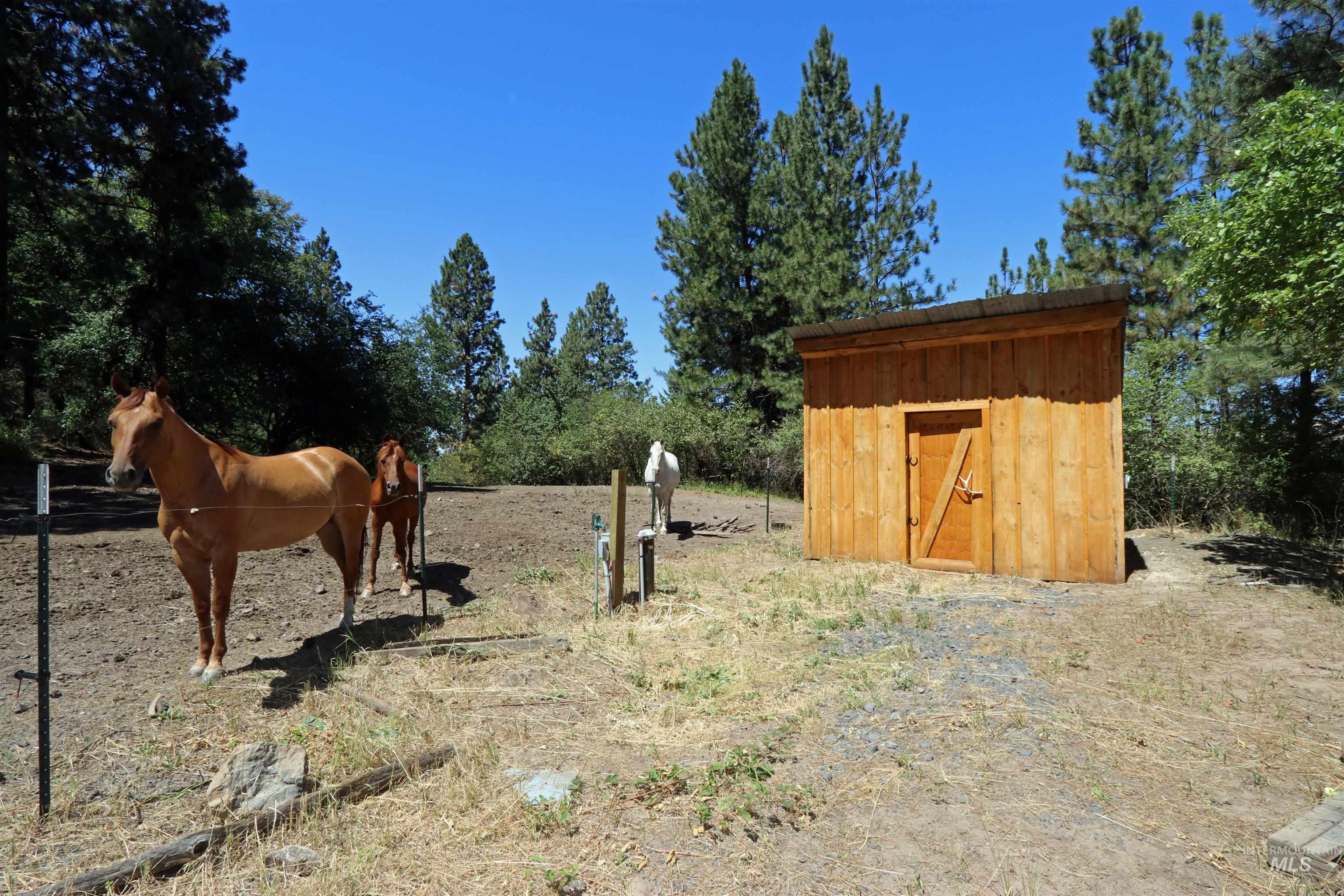 37596 Eberhardt Road Property Photo 5