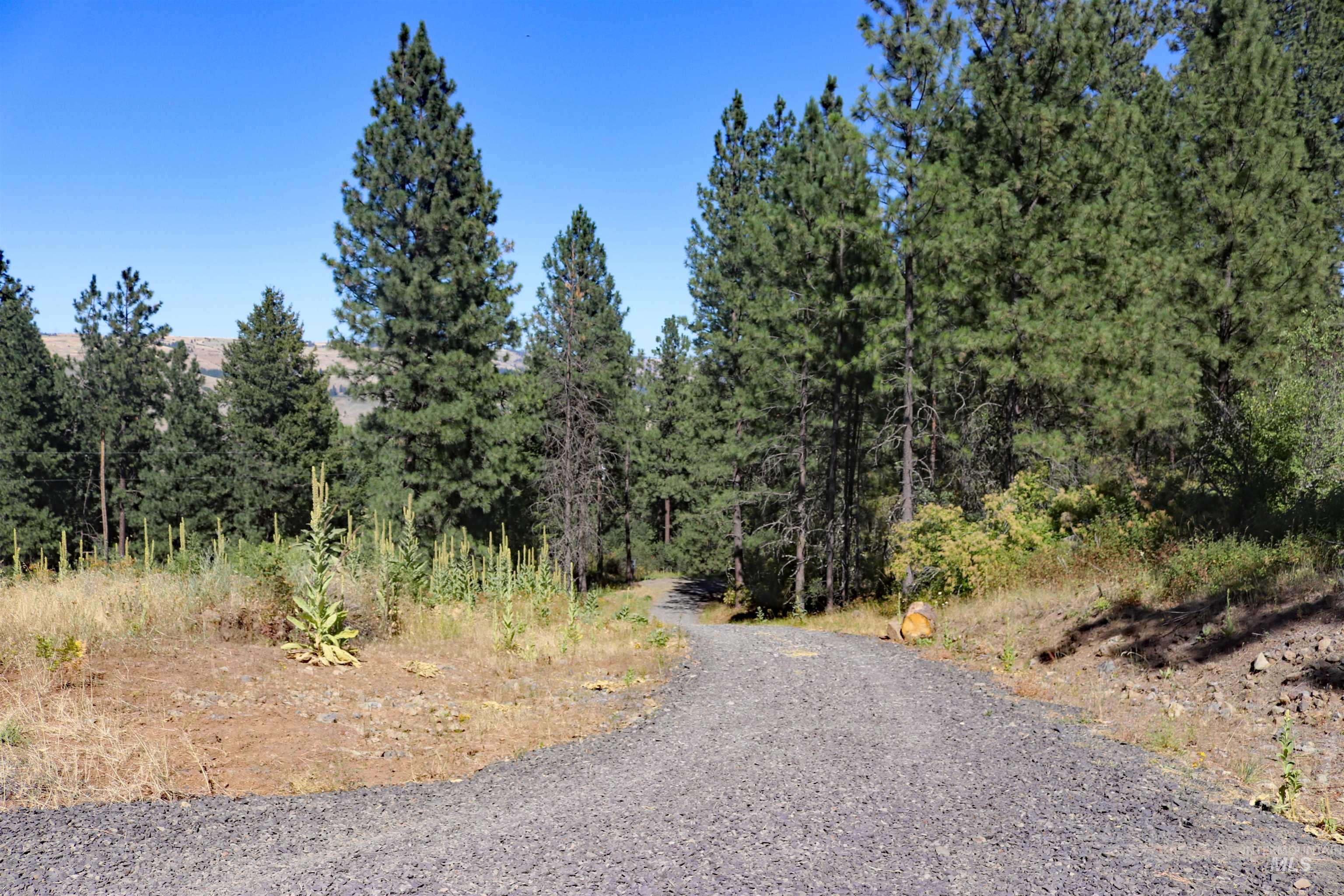 37596 Eberhardt Road Property Photo 7