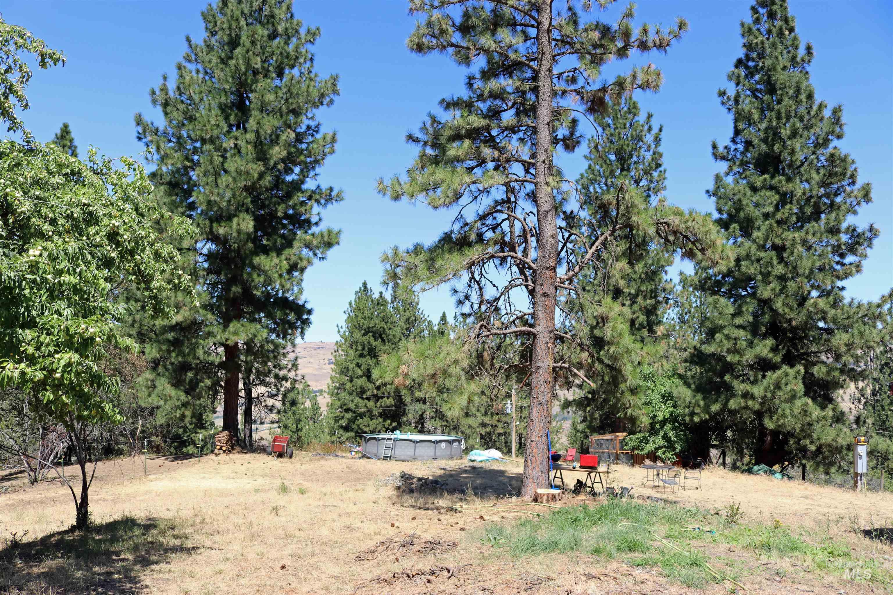37596 Eberhardt Road Property Photo 8