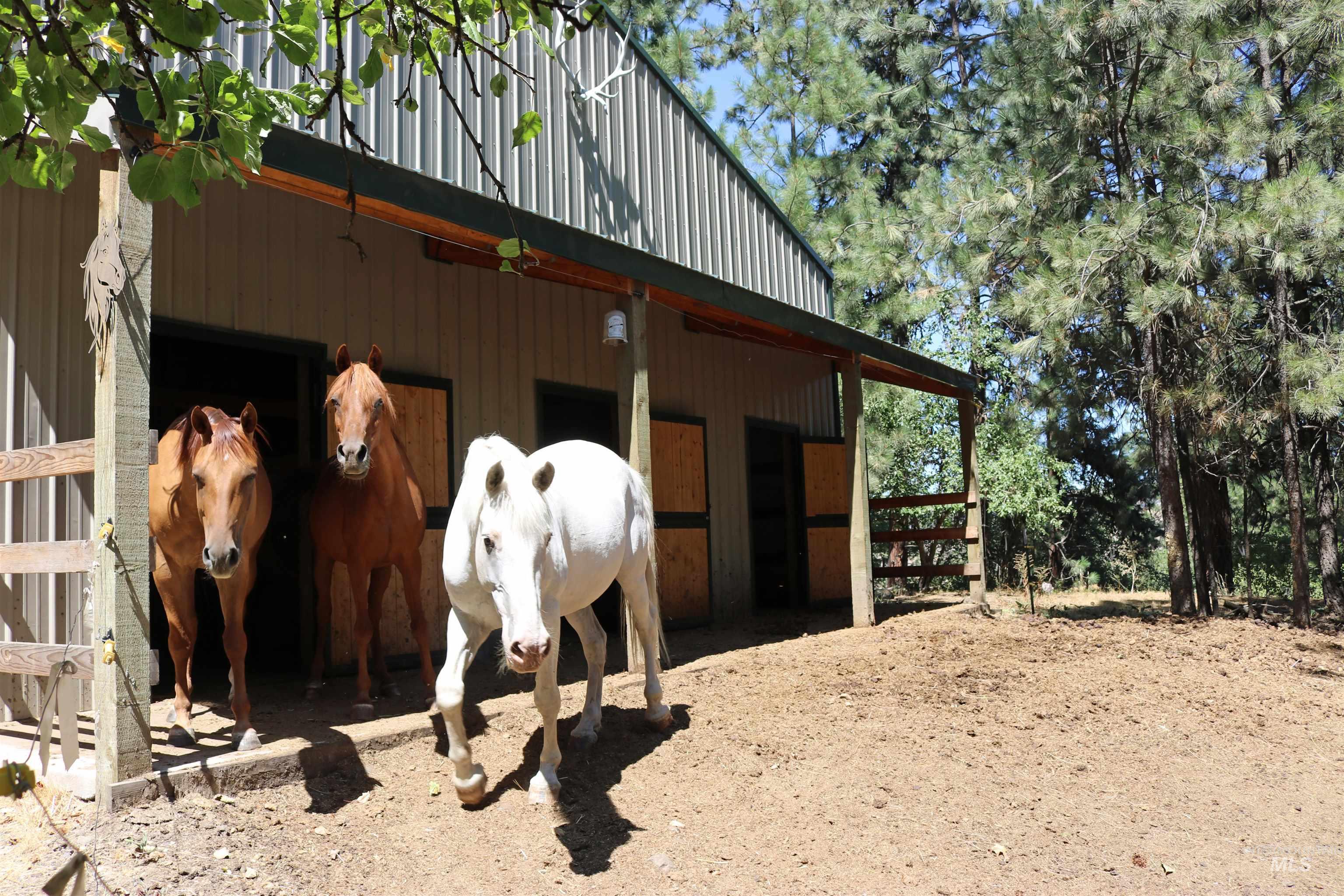 37596 Eberhardt Road Property Photo 34