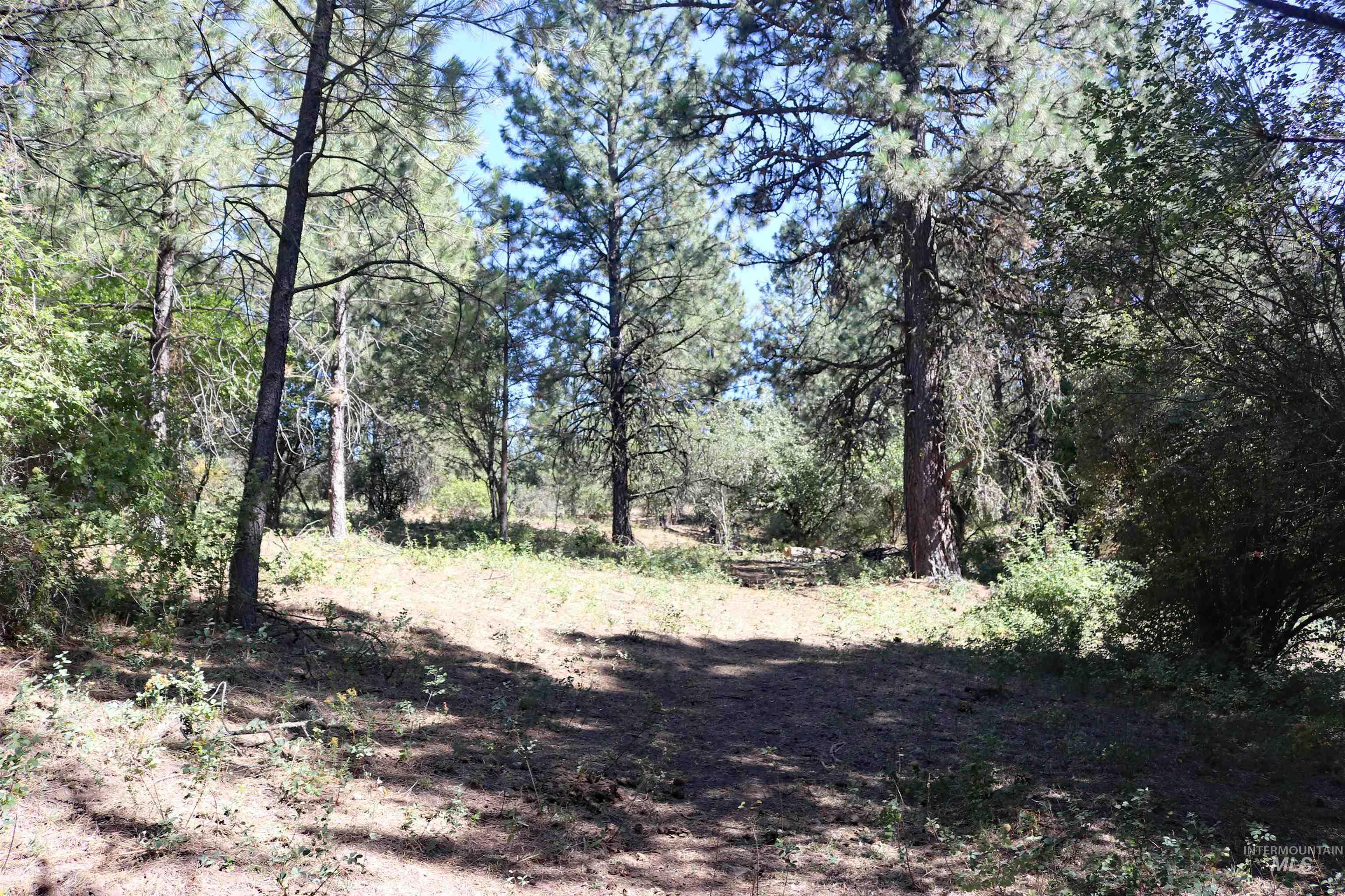 37596 Eberhardt Road Property Photo 35