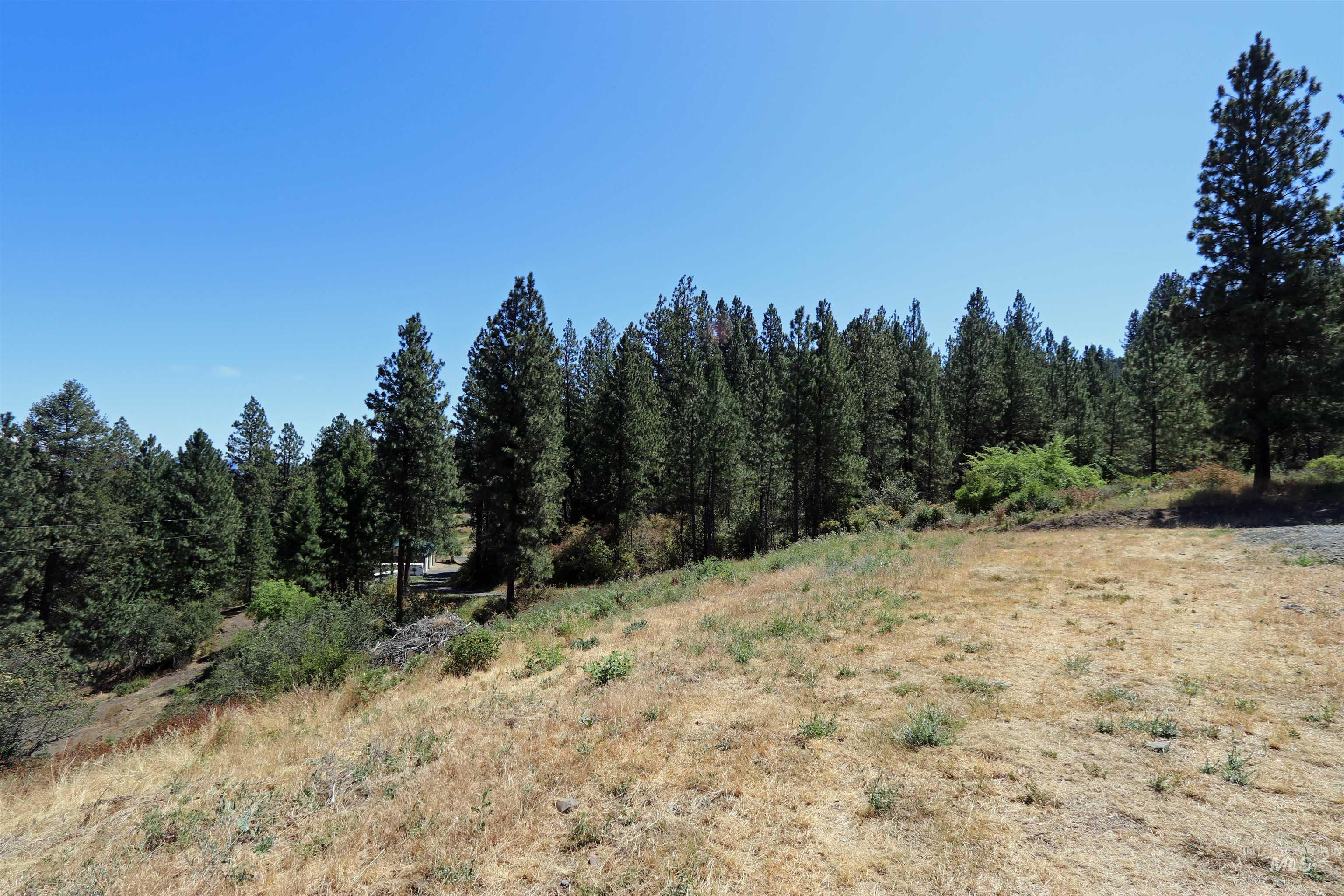 37596 Eberhardt Road Property Photo 39