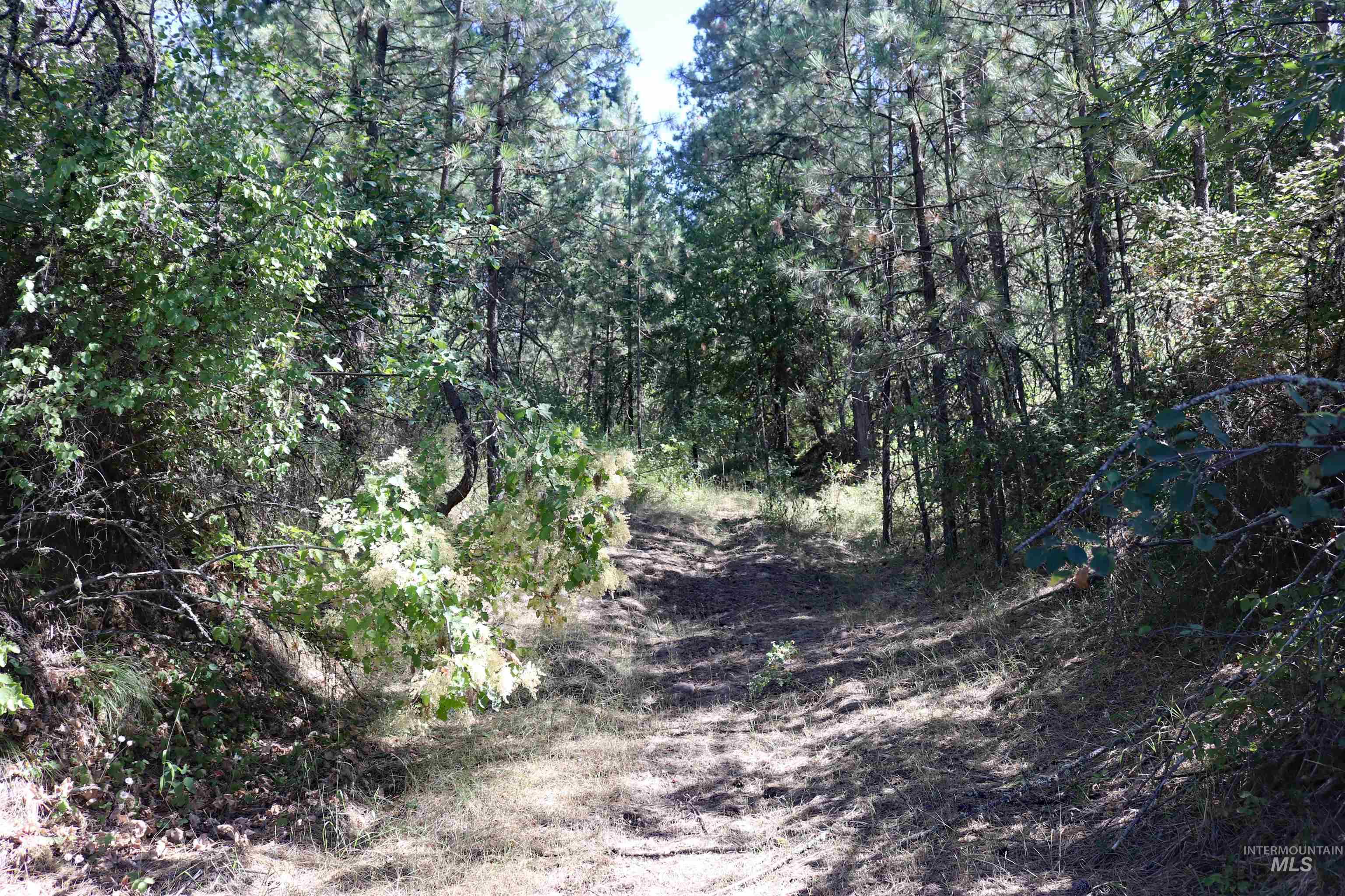37596 Eberhardt Road Property Photo 40