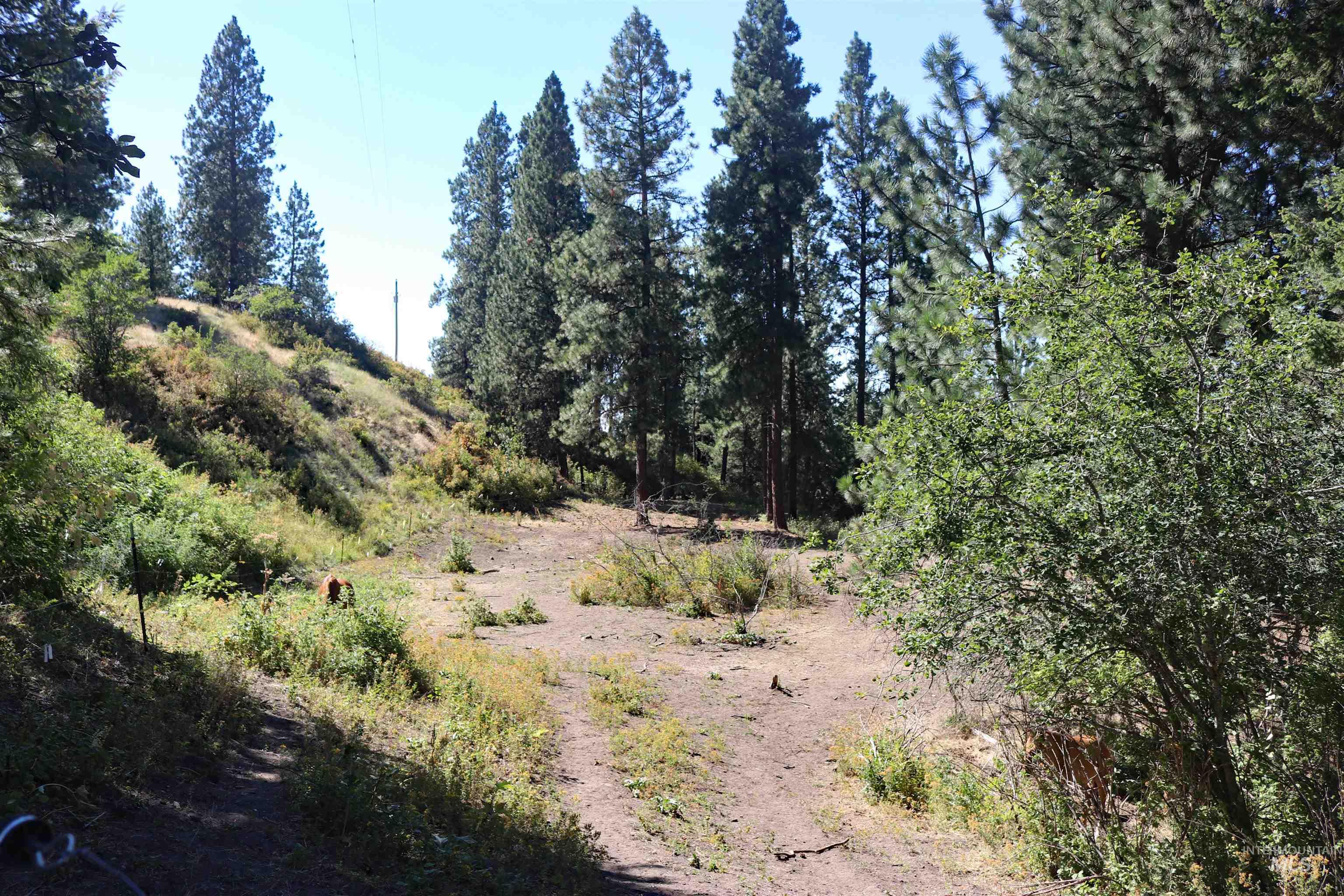 37596 Eberhardt Road Property Photo 43