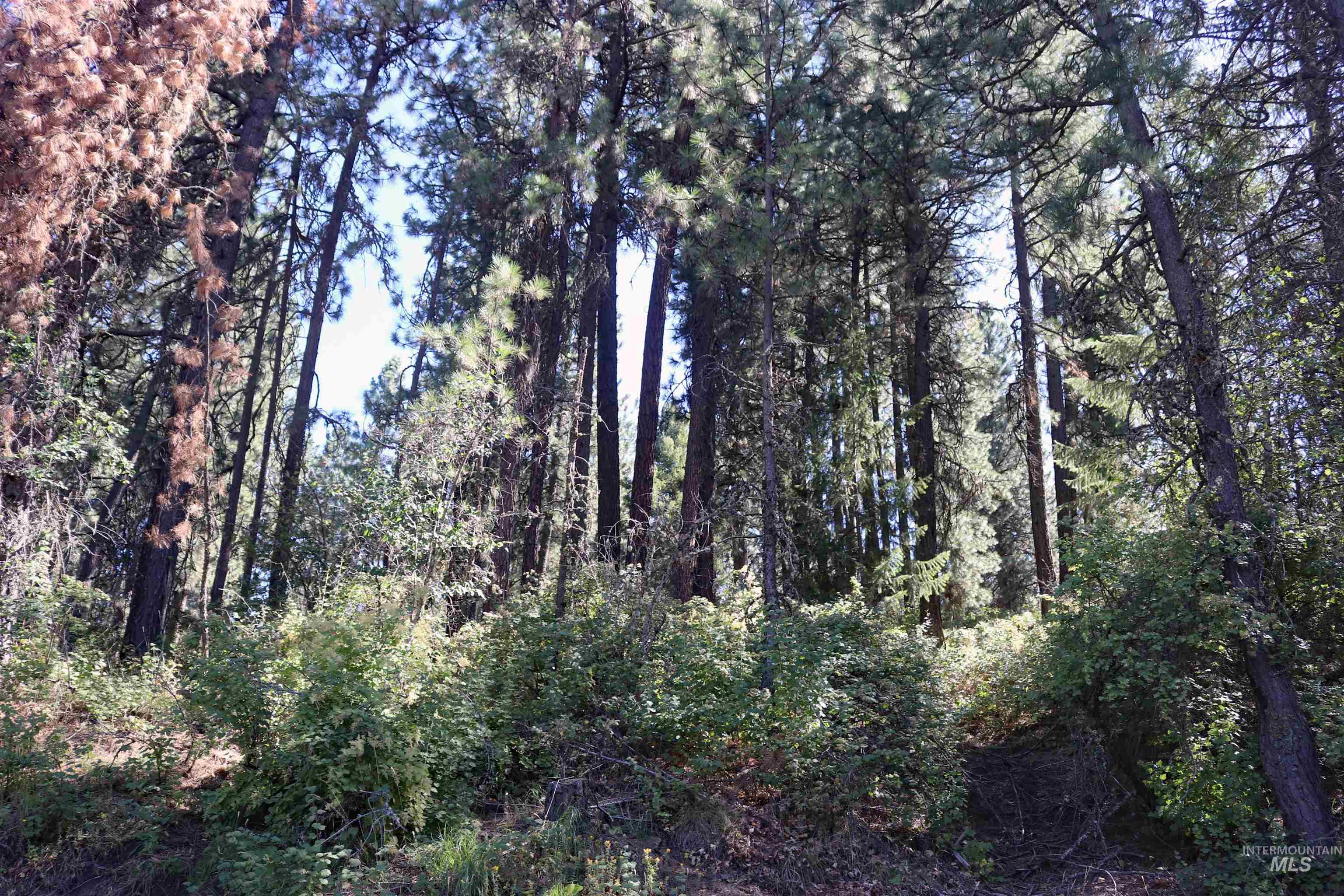 37596 Eberhardt Road Property Photo 44