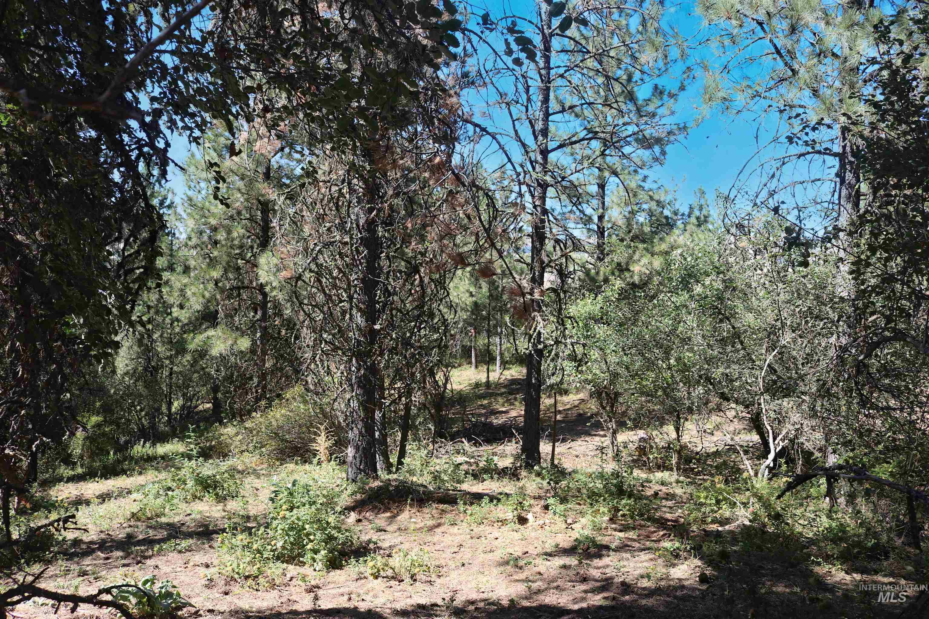 37596 Eberhardt Road Property Photo 46