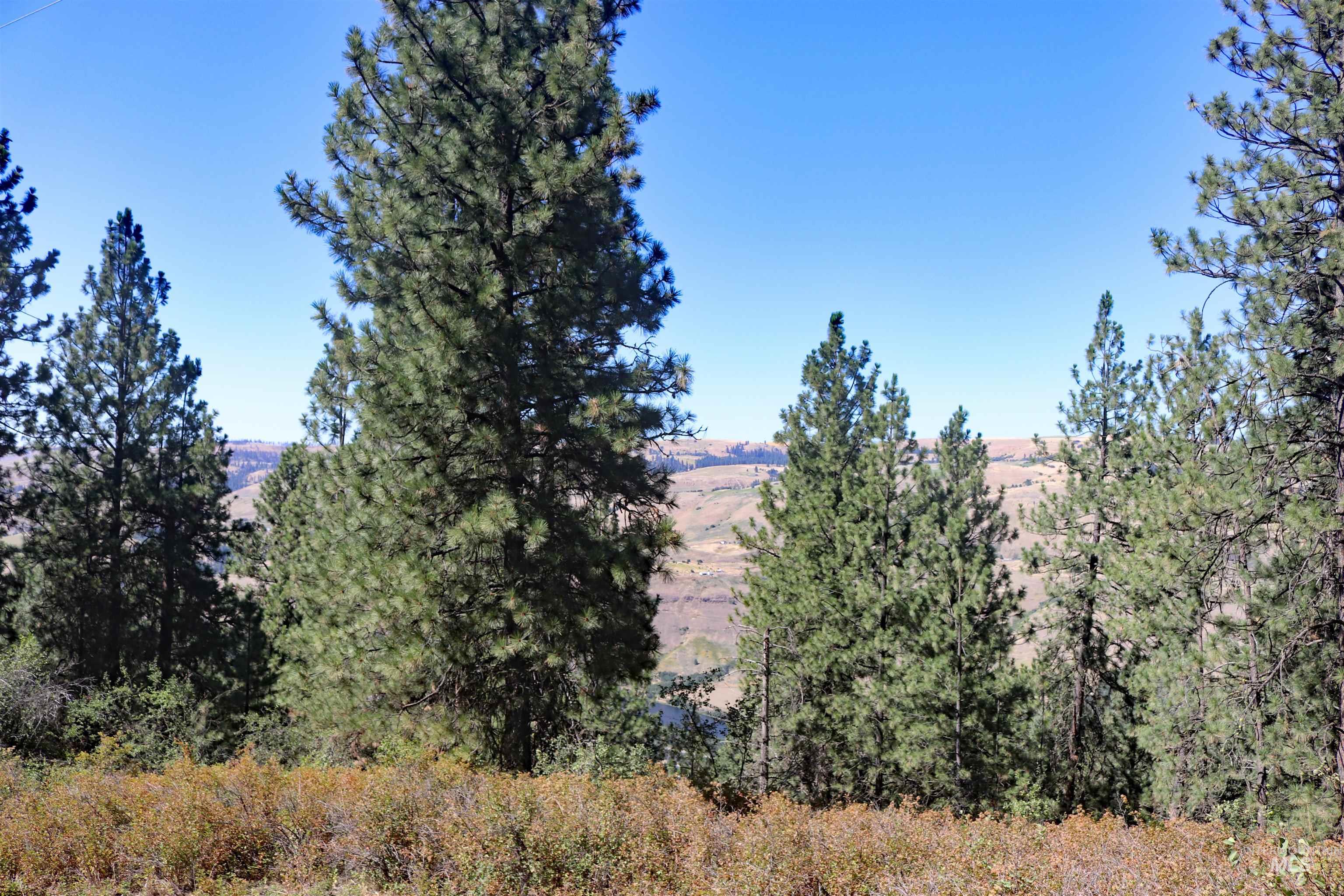 37596 Eberhardt Road Property Photo 47