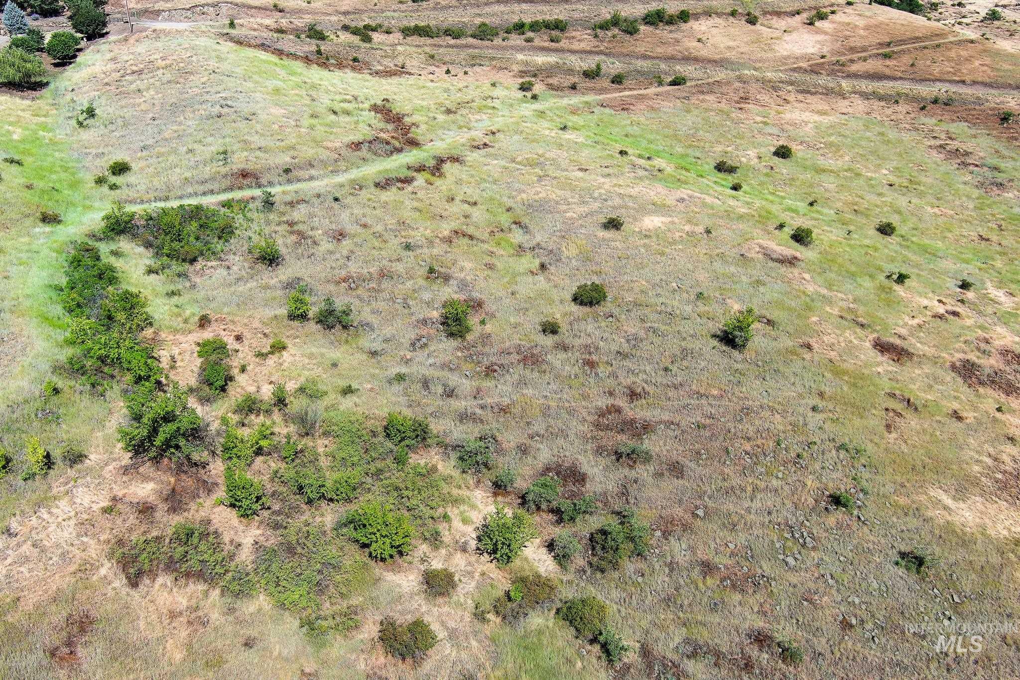 Tbd Doumecq Road Property Photo 17
