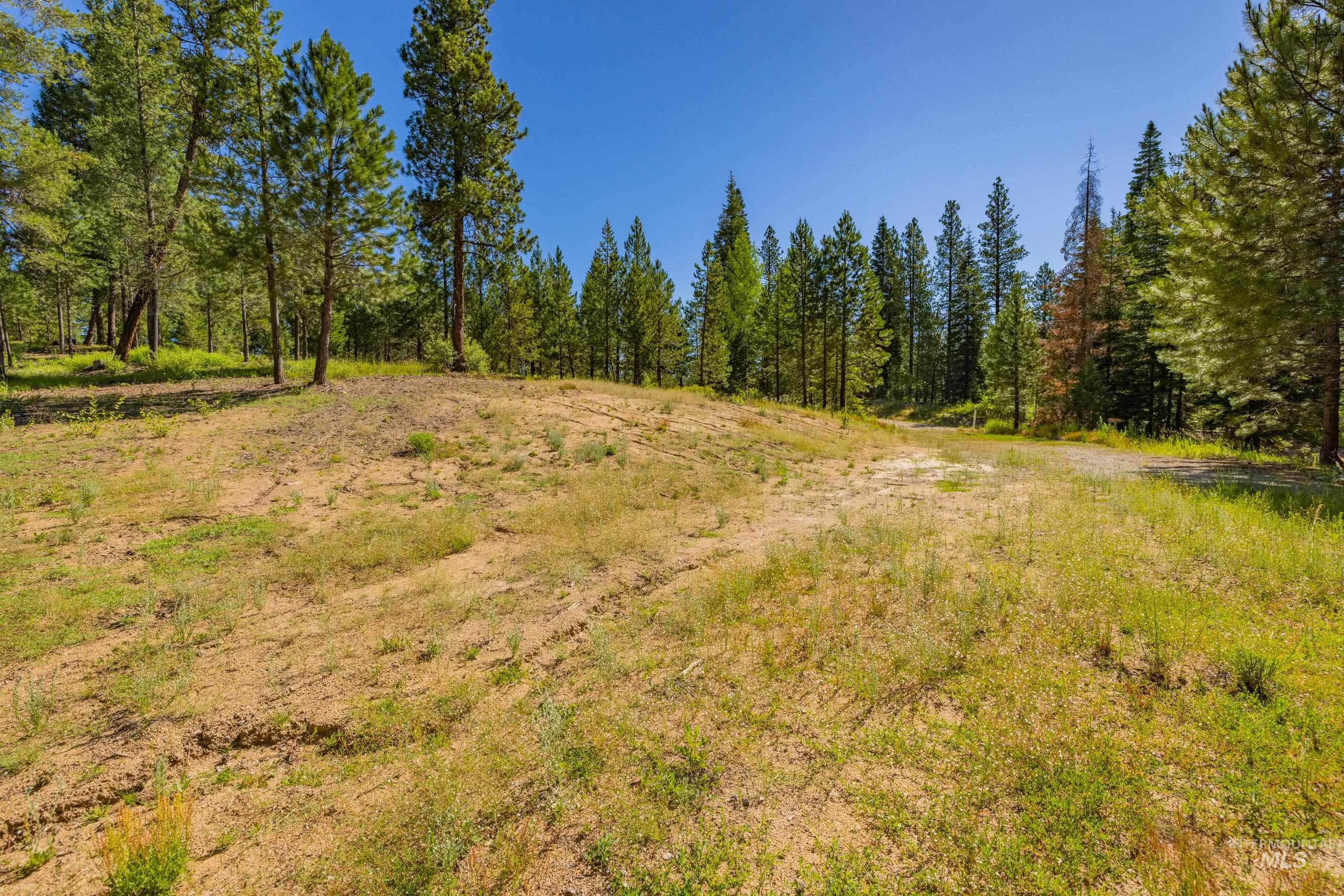 151 Timber Haven Place Property Photo 7