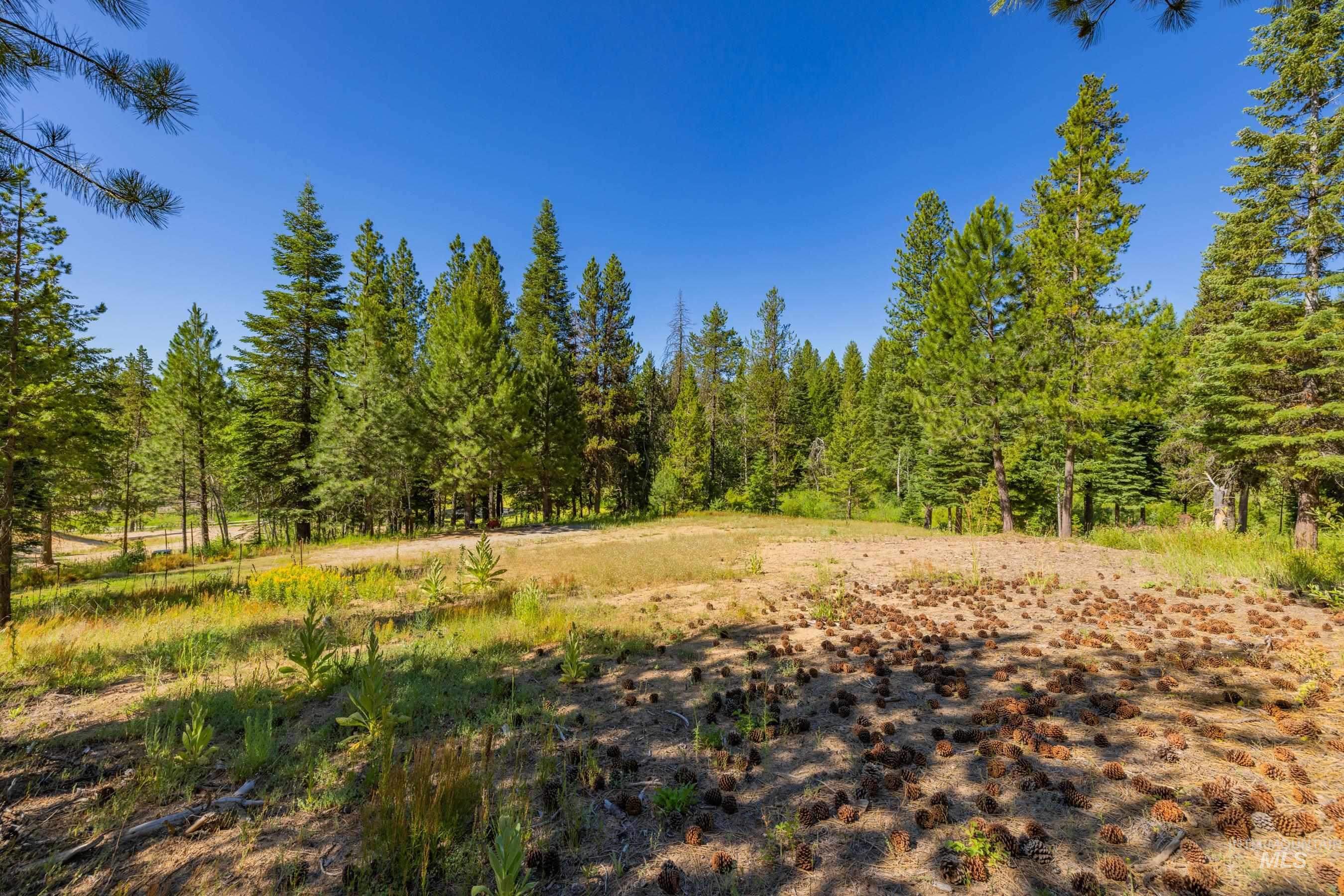 151 Timber Haven Place Property Photo 18