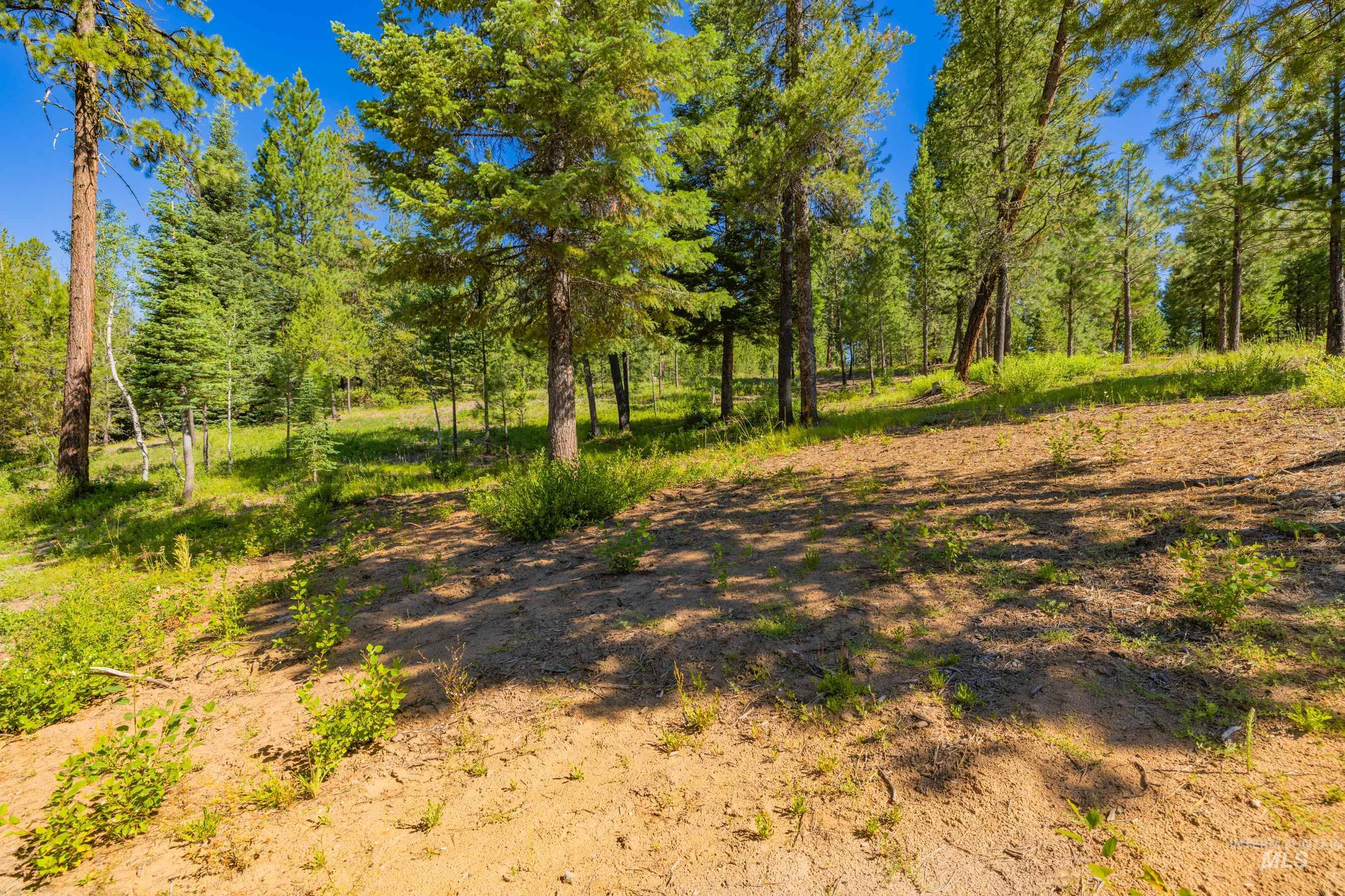 151 Timber Haven Place Property Photo 25
