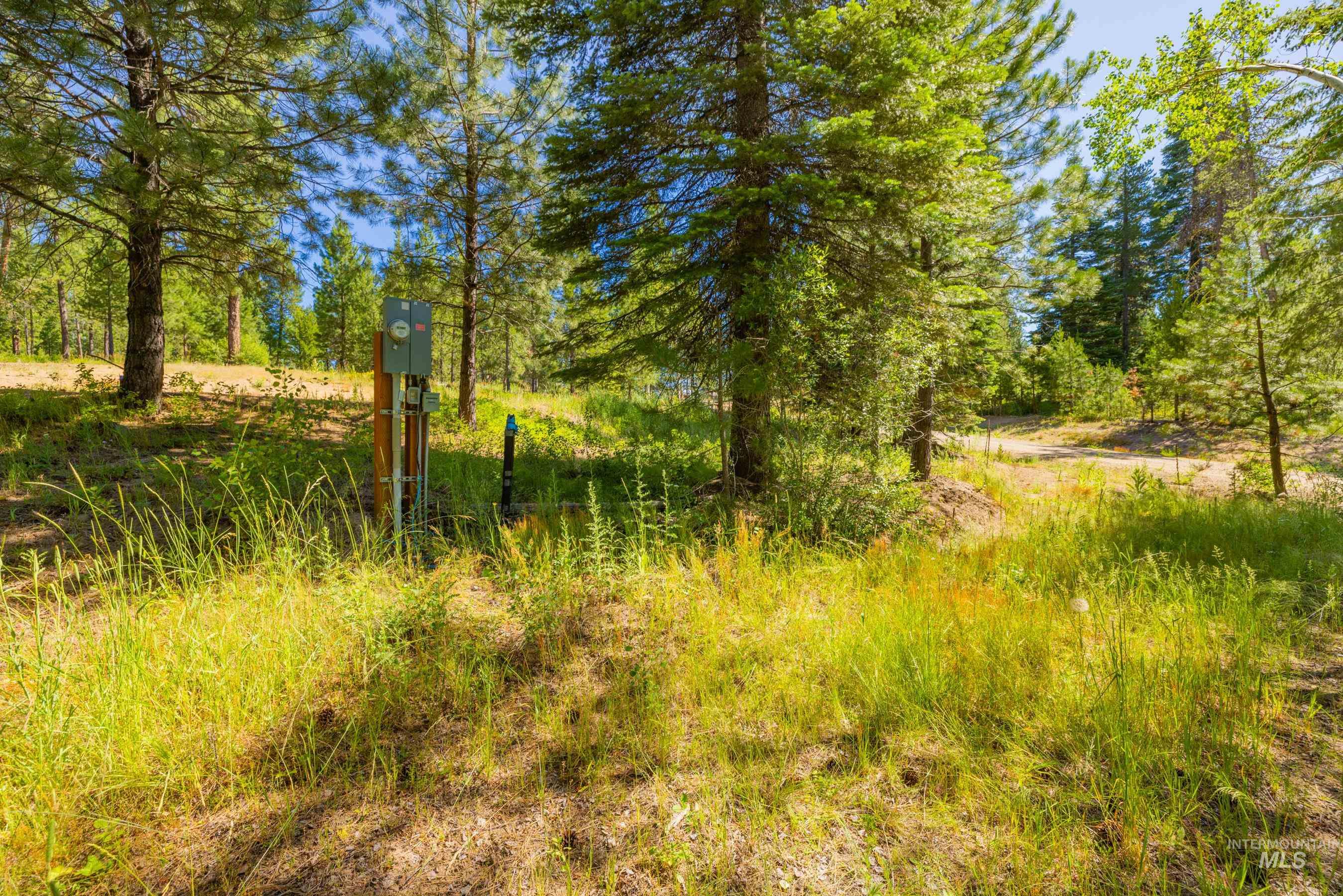 151 Timber Haven Place Property Photo 29
