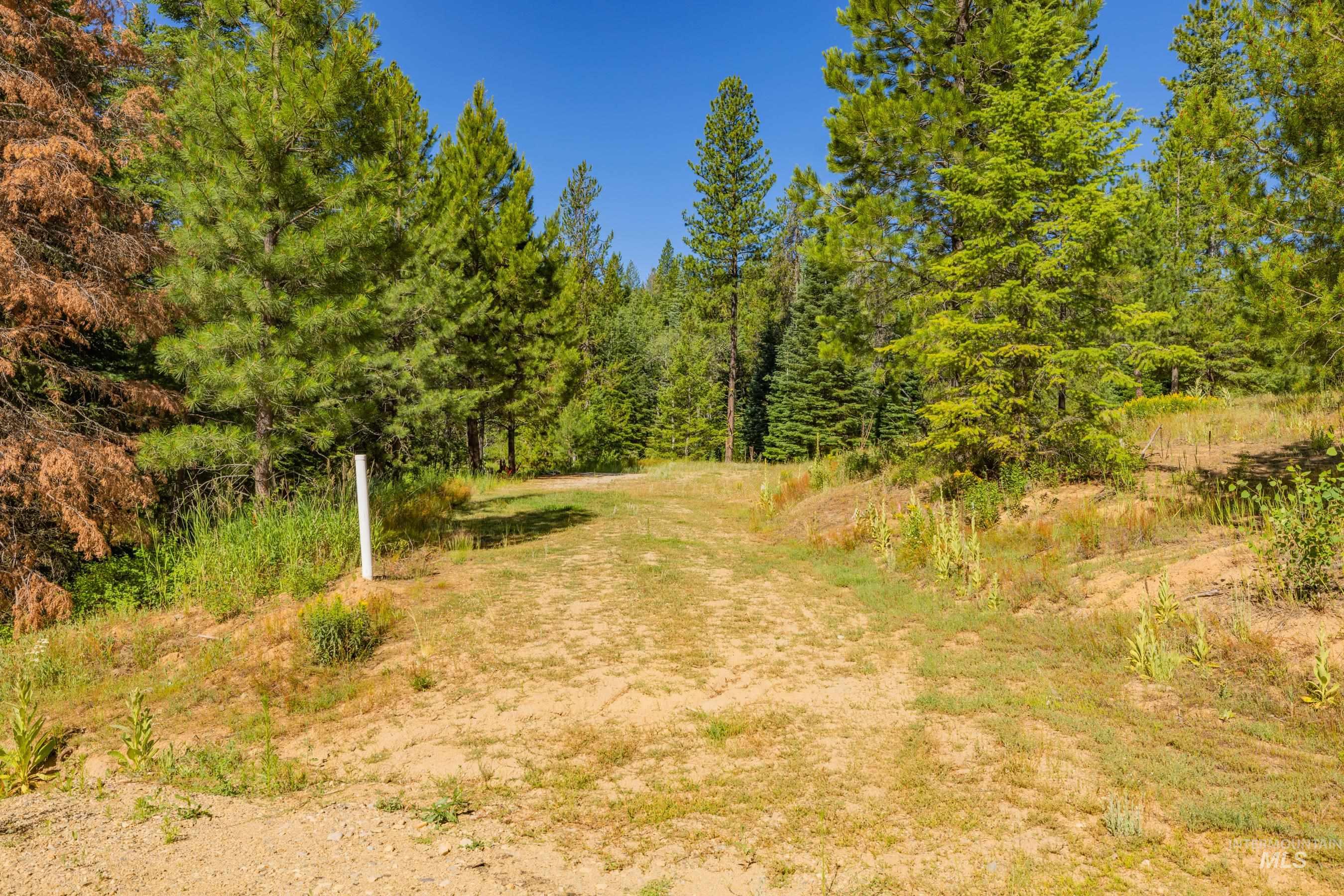 151 Timber Haven Place Property Photo 31