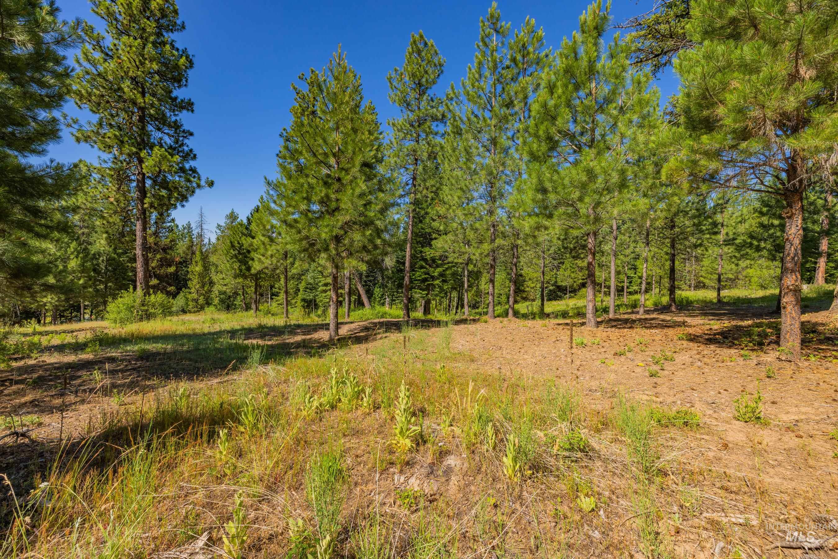 151 Timber Haven Place Property Photo 35