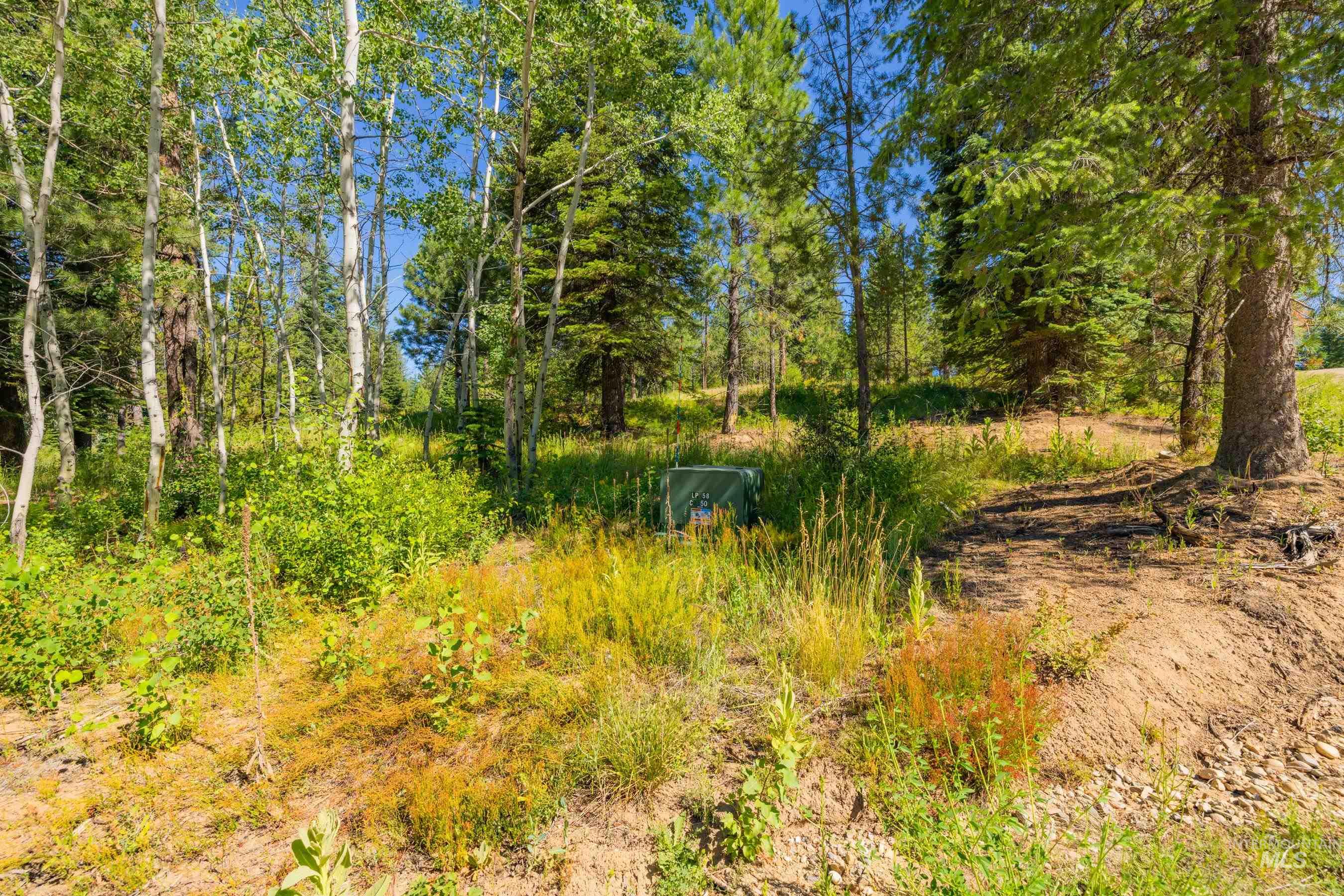 151 Timber Haven Place Property Photo 39