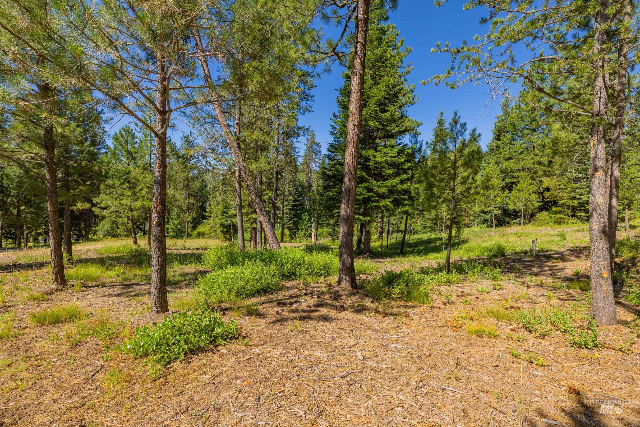 151 Timber Haven Place Property Photo 40