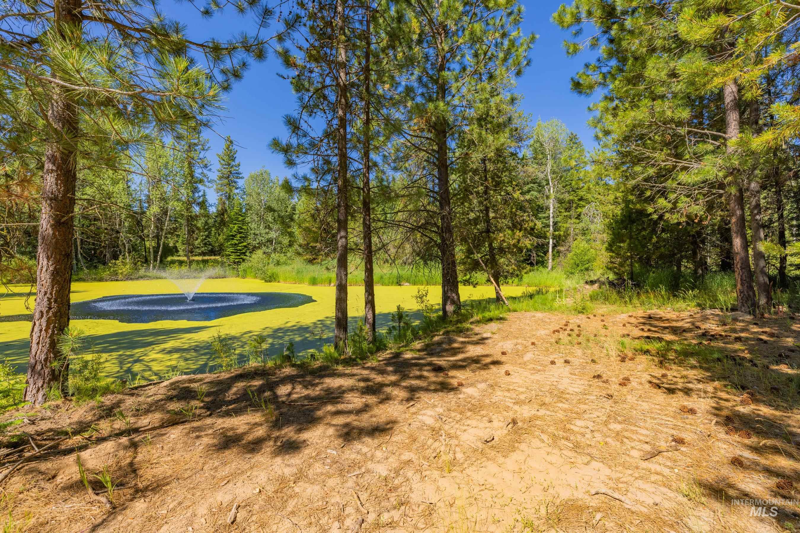 151 Timber Haven Place Property Photo 41