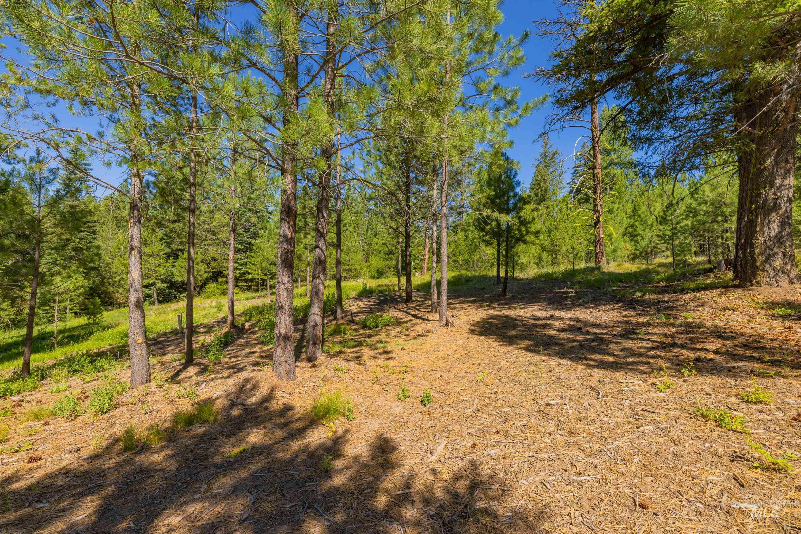 151 Timber Haven Place Property Photo 42