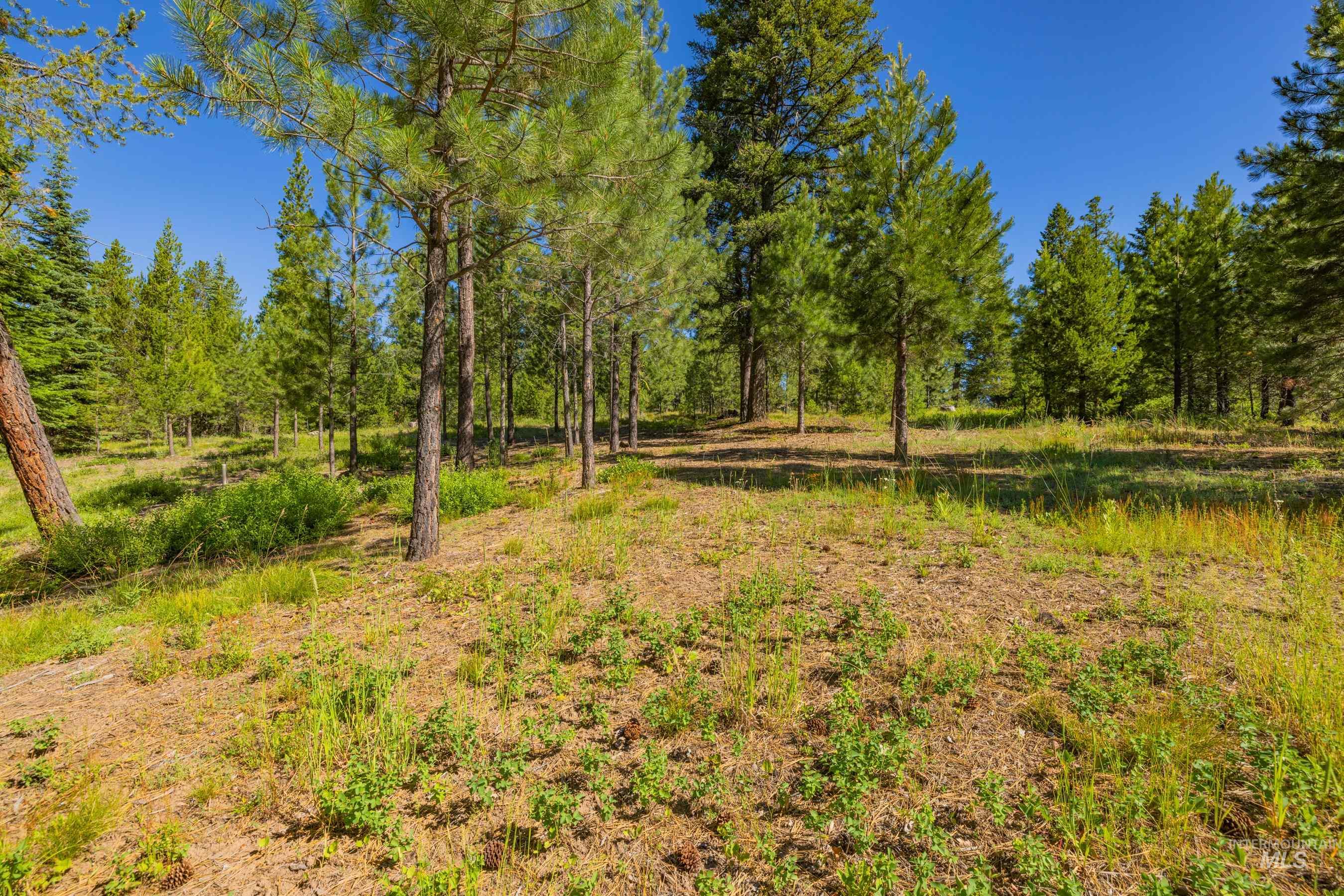 151 Timber Haven Place Property Photo 43