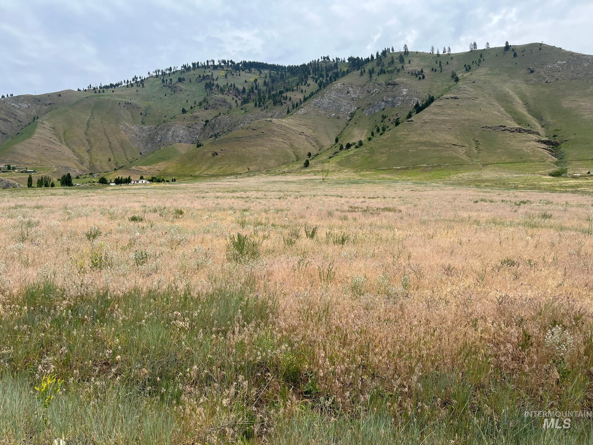 Tbd Twilegar Ln Property Photo 3