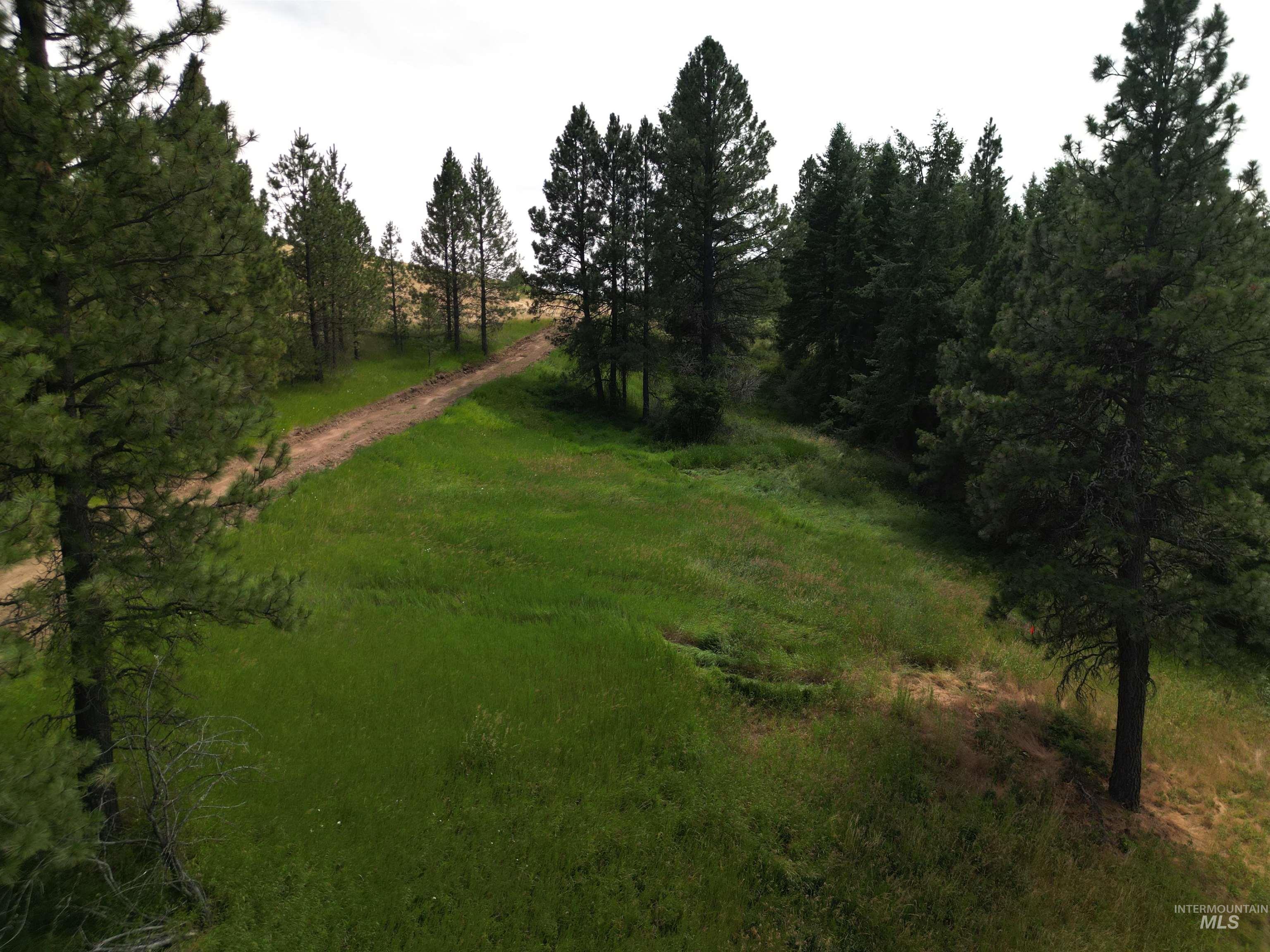 000 Parkins Rd A.k.a. Sumner Rd/canyon Rd Property Photo 3