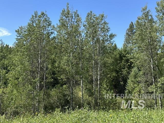 000 Parkins Rd A.k.a. Sumner Rd/canyon Rd Property Photo 5