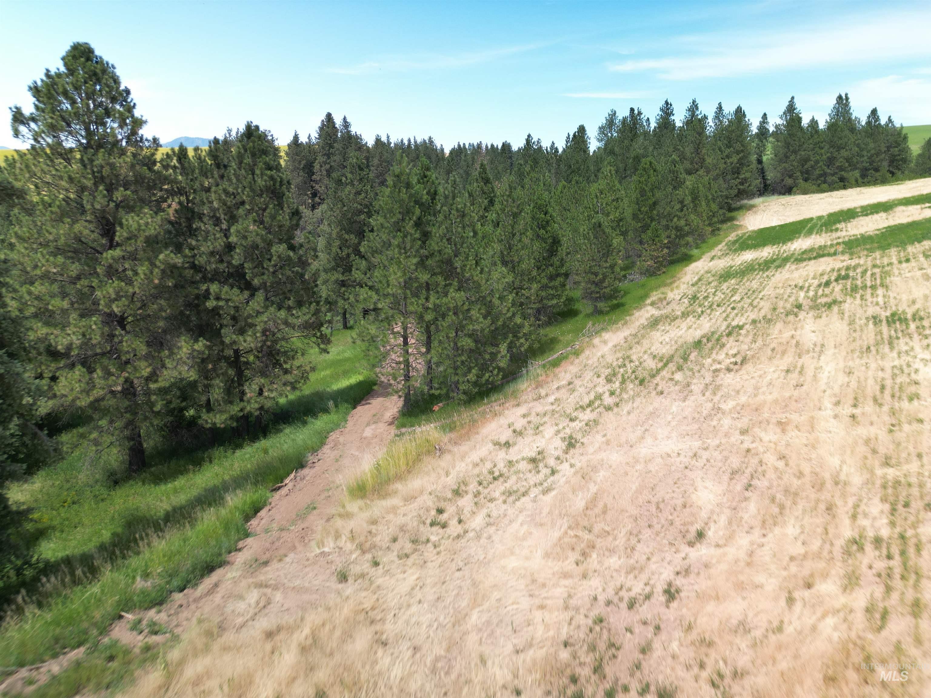 000 Parkins Rd A.k.a. Sumner Rd/canyon Rd Property Photo 9