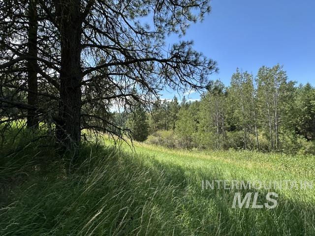 000 Parkins Rd A.k.a. Sumner Rd/canyon Rd Property Photo 11