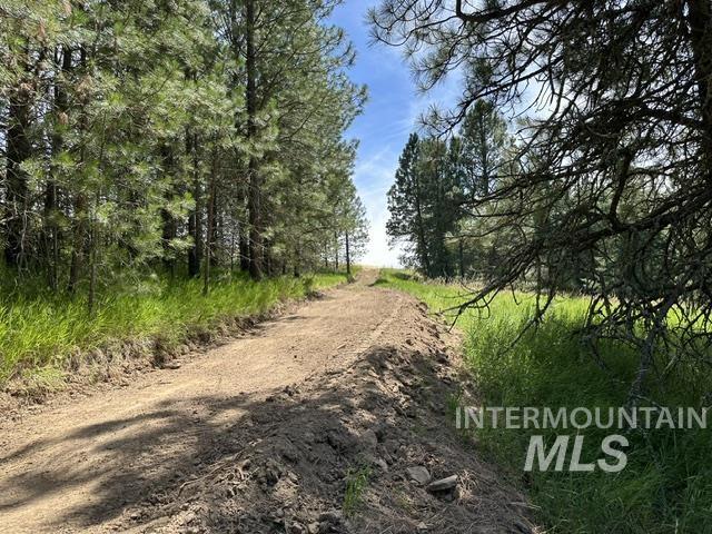 000 Parkins Rd A.k.a. Sumner Rd/canyon Rd Property Photo 12
