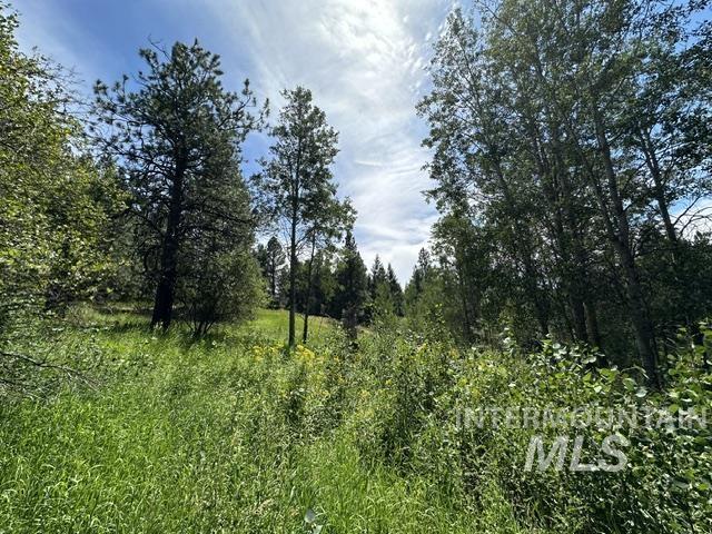 000 Parkins Rd A.k.a. Sumner Rd/canyon Rd Property Photo 17