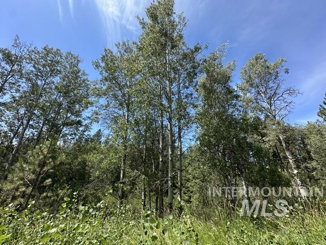 000 Parkins Rd A.k.a. Sumner Rd/canyon Rd Property Photo 18