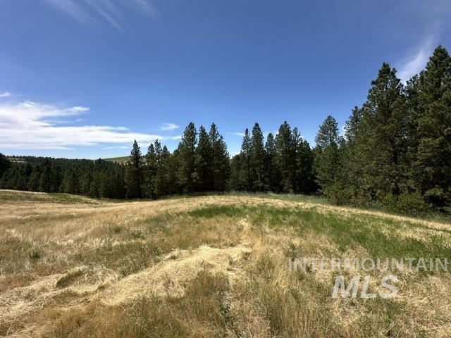 000 Parkins Rd A.k.a. Sumner Rd/canyon Rd Property Photo 24